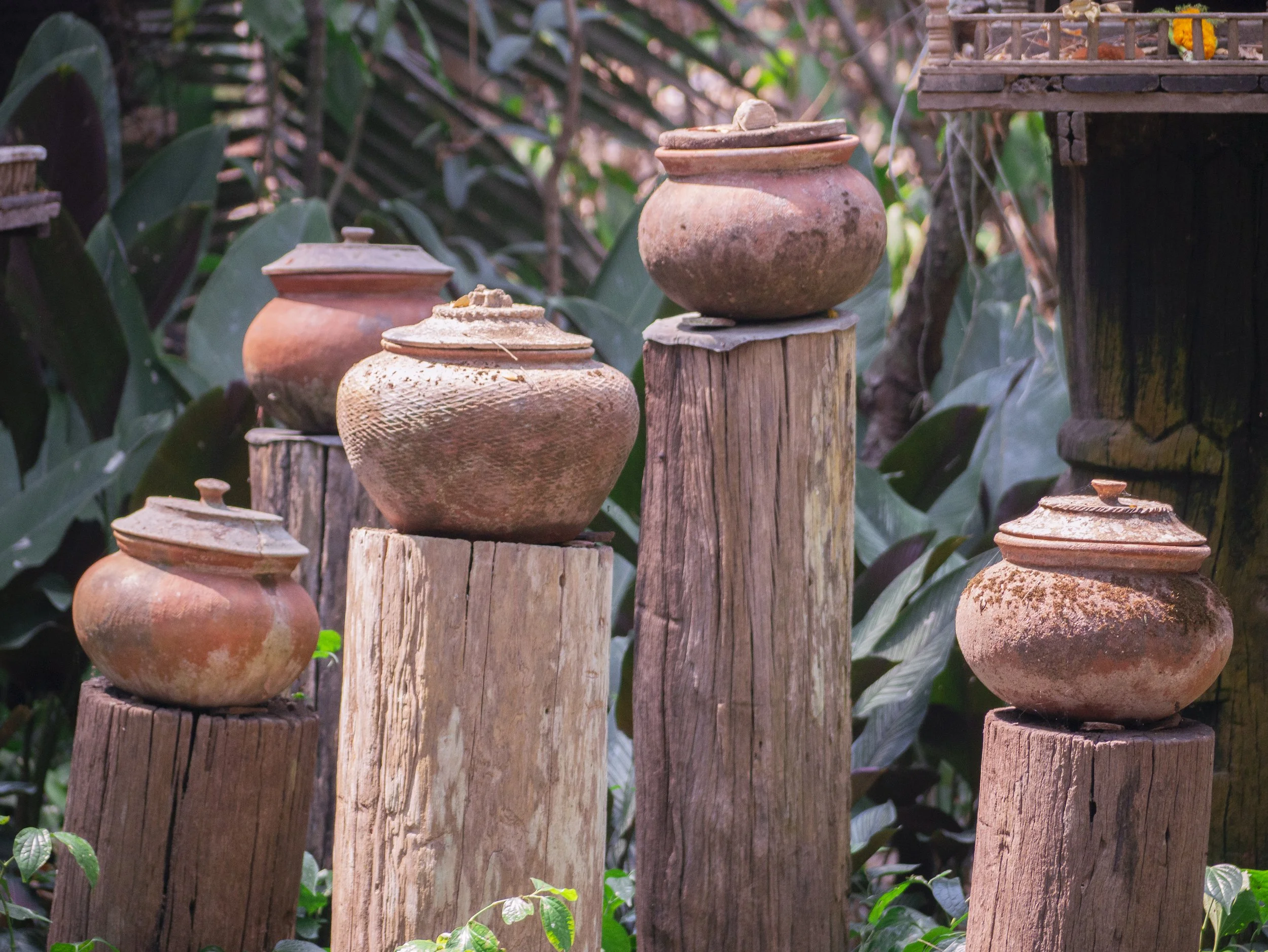 2024-03-Chiang-Rai-Thailand (58 of 85).jpg