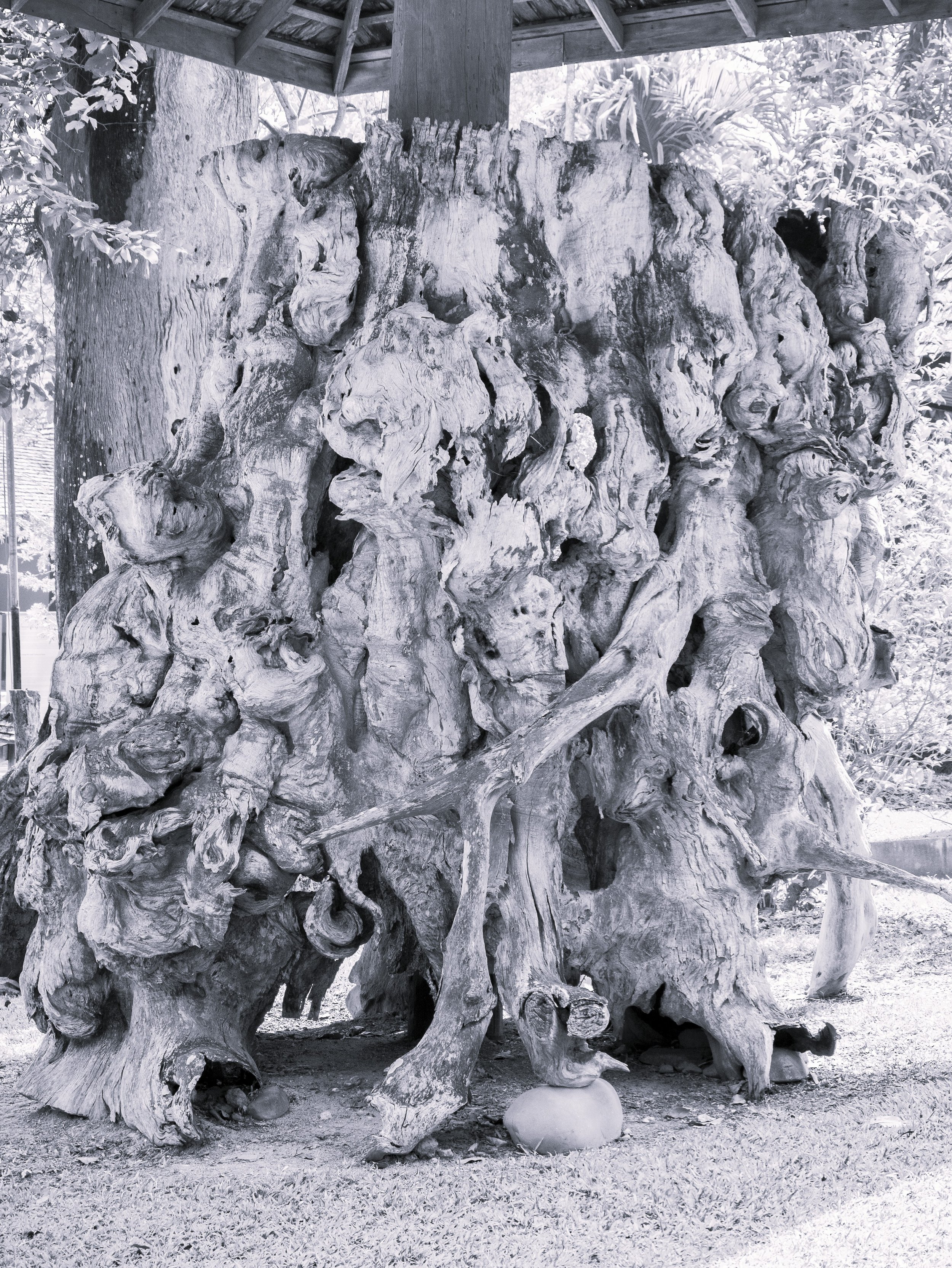 2024-03-Chiang-Rai-Thailand (61 of 85).jpg