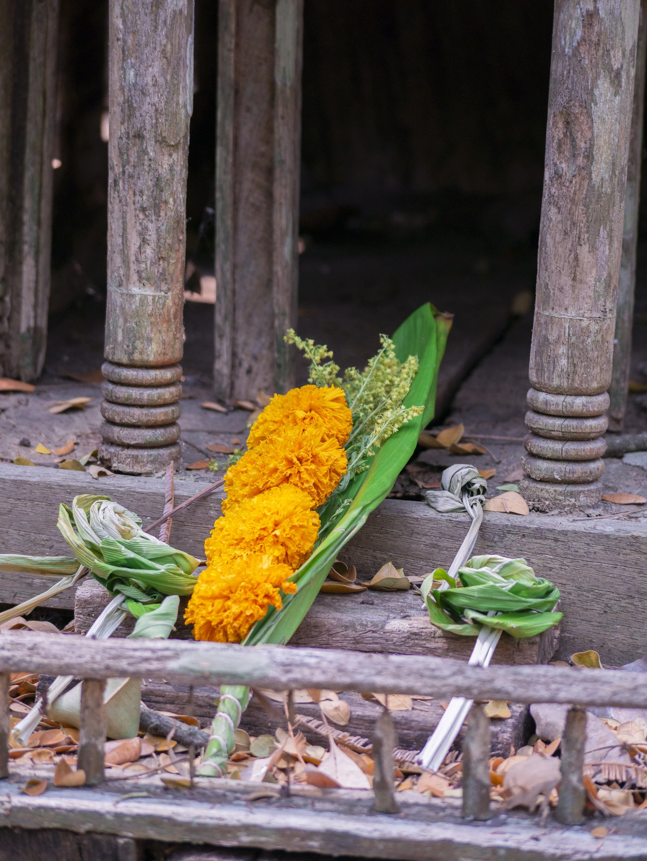 2024-03-Chiang-Rai-Thailand (60 of 85).jpg