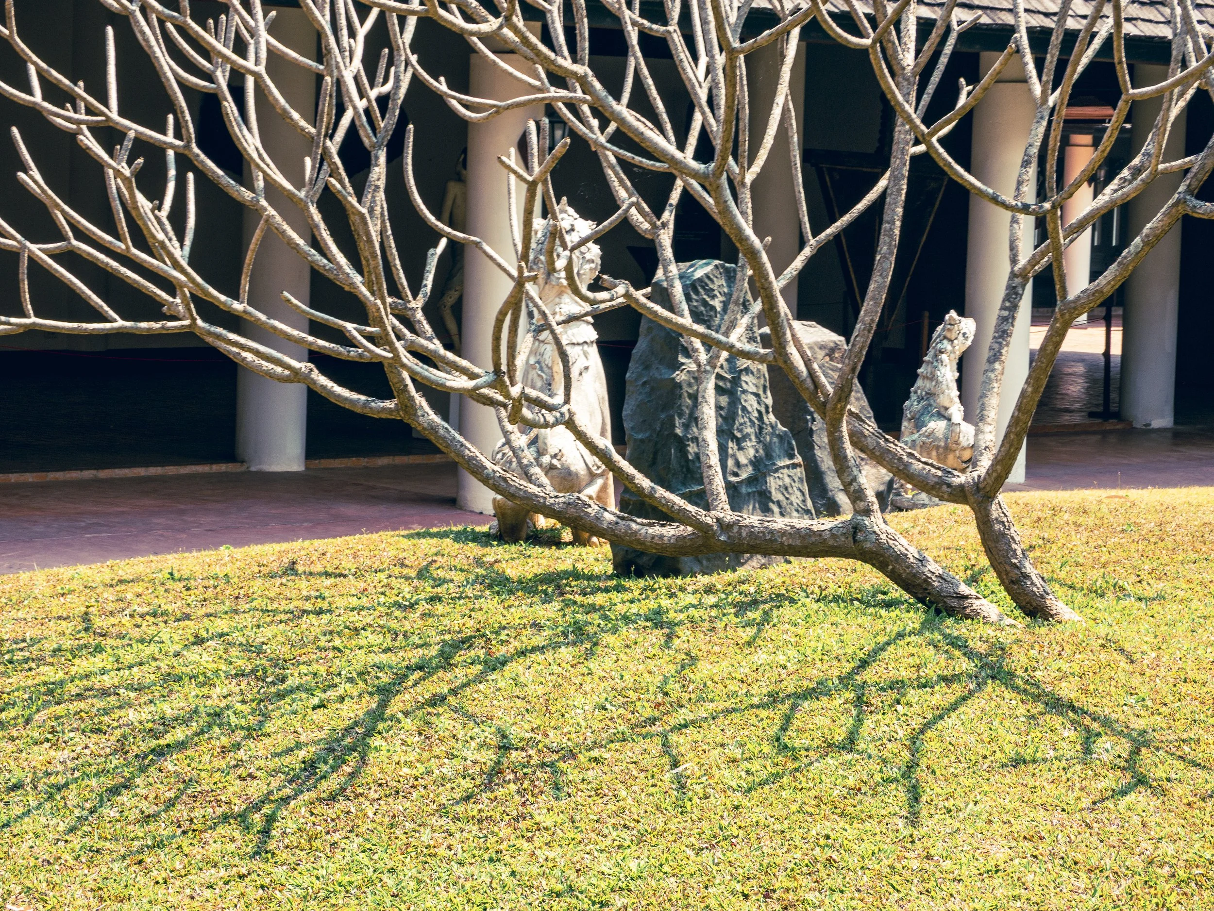 2024-03-Chiang-Rai-Thailand (76 of 85).jpg