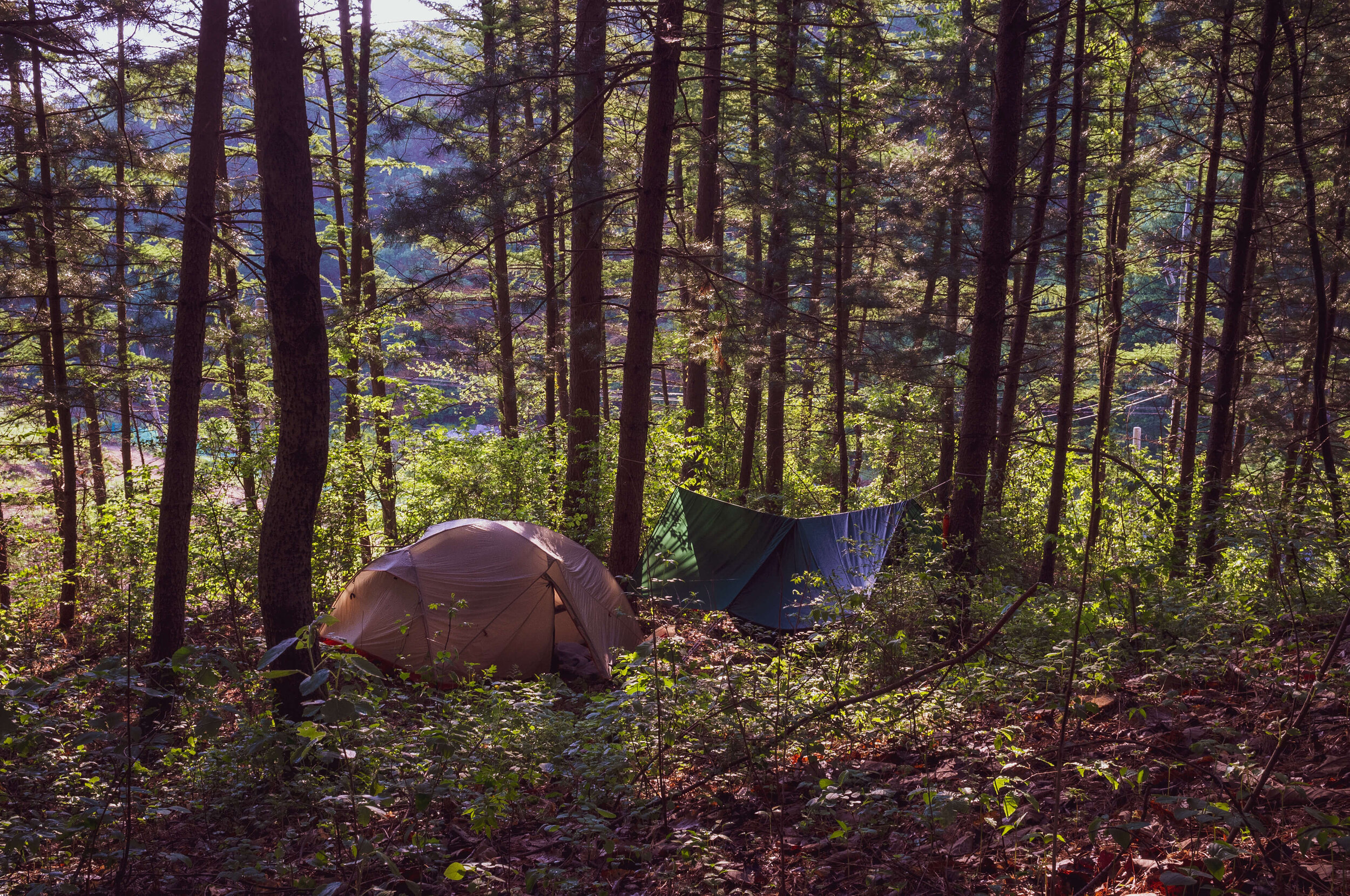 5 Tips For Camping In South Korea Korean Rooftop