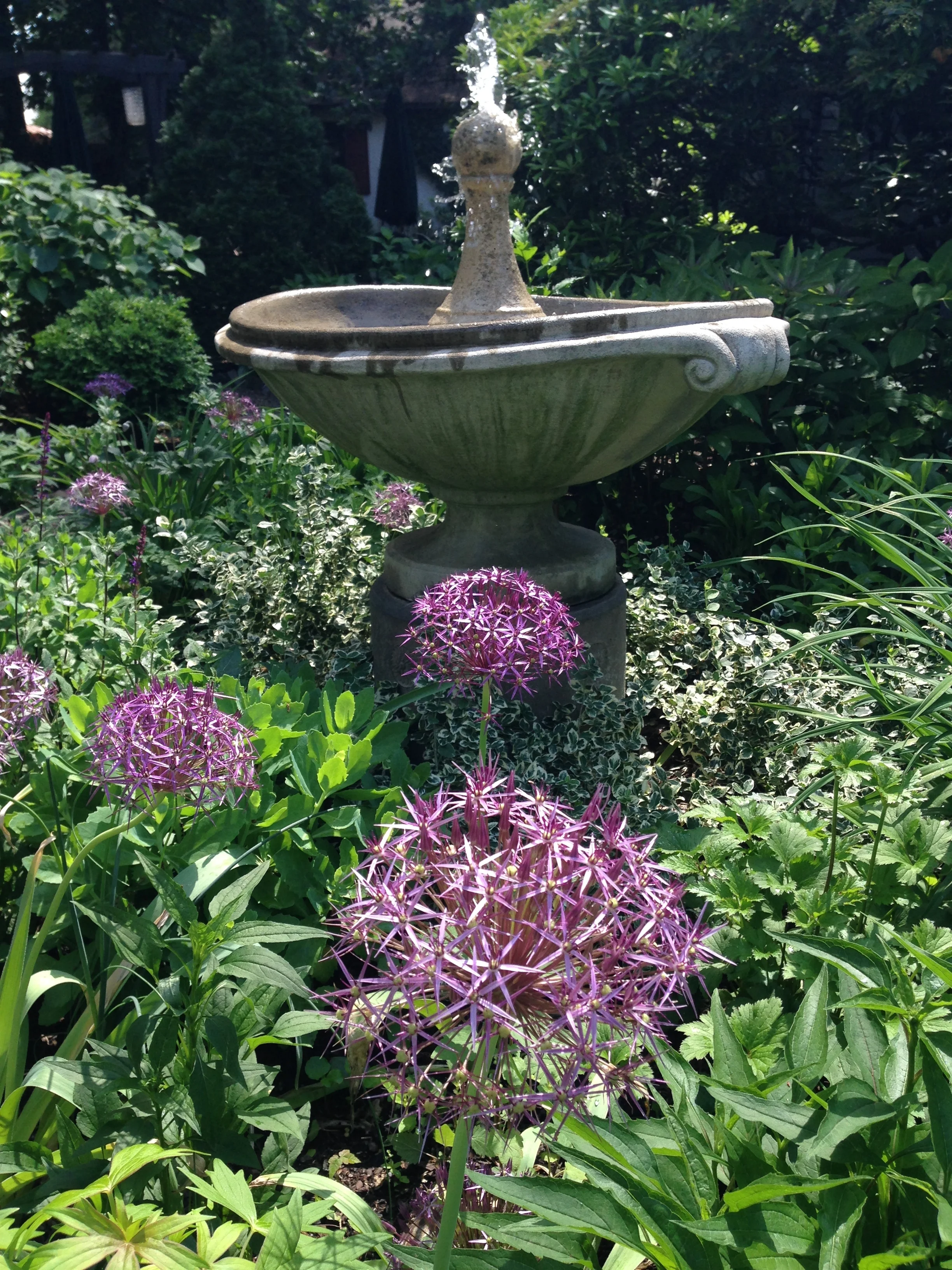 The Fountain Garden, Elm Cottage