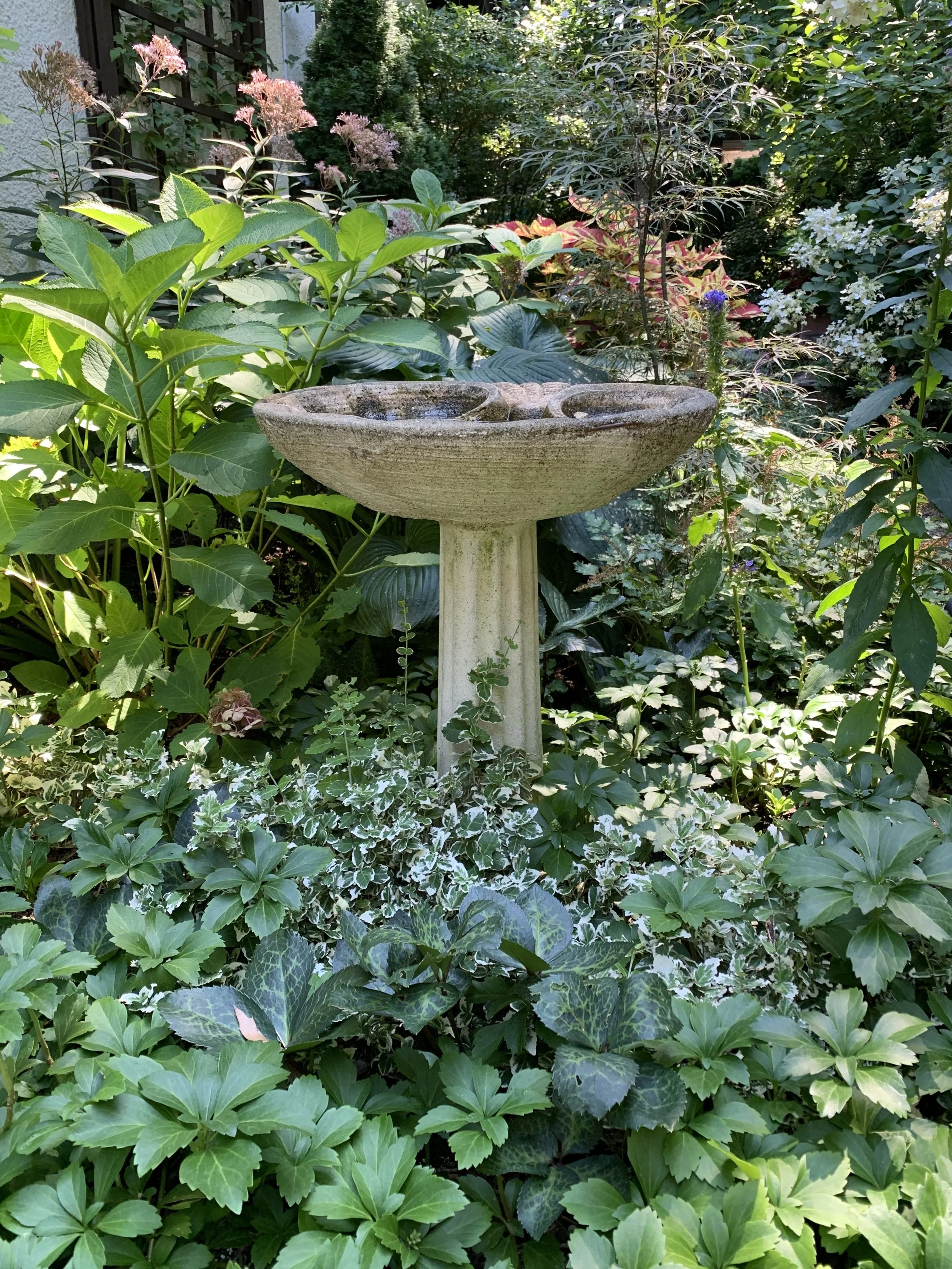Birdbath