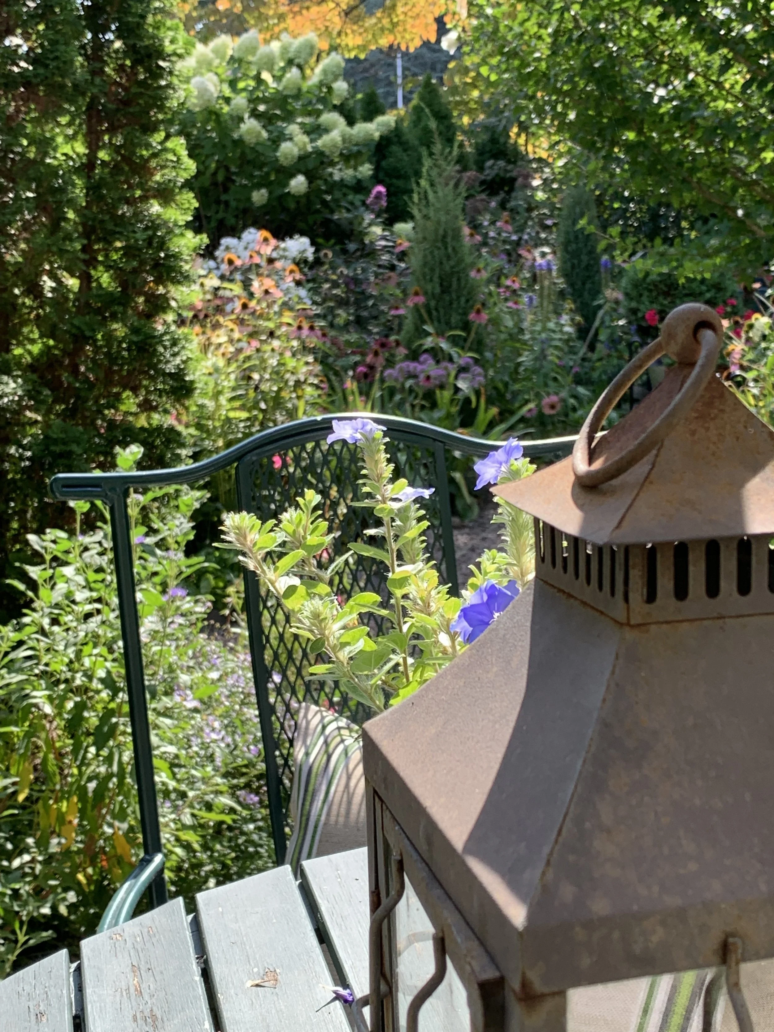 View from Garden Dining Area, Elm Cottage