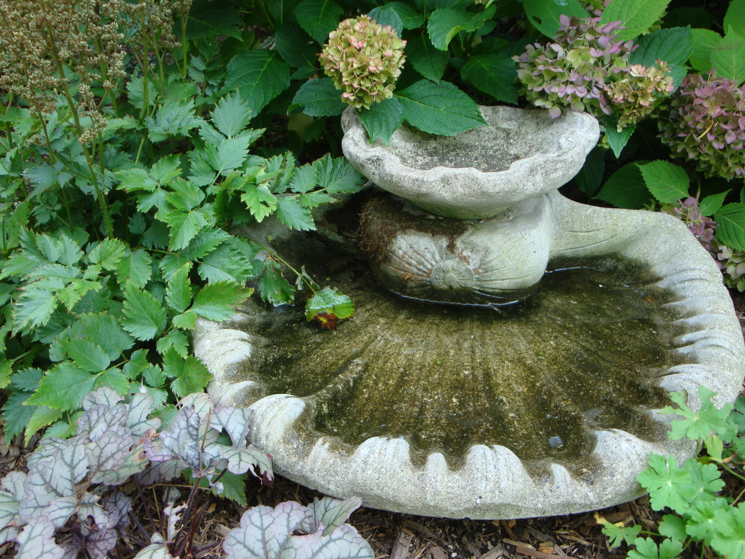 Fountain as Birdbath