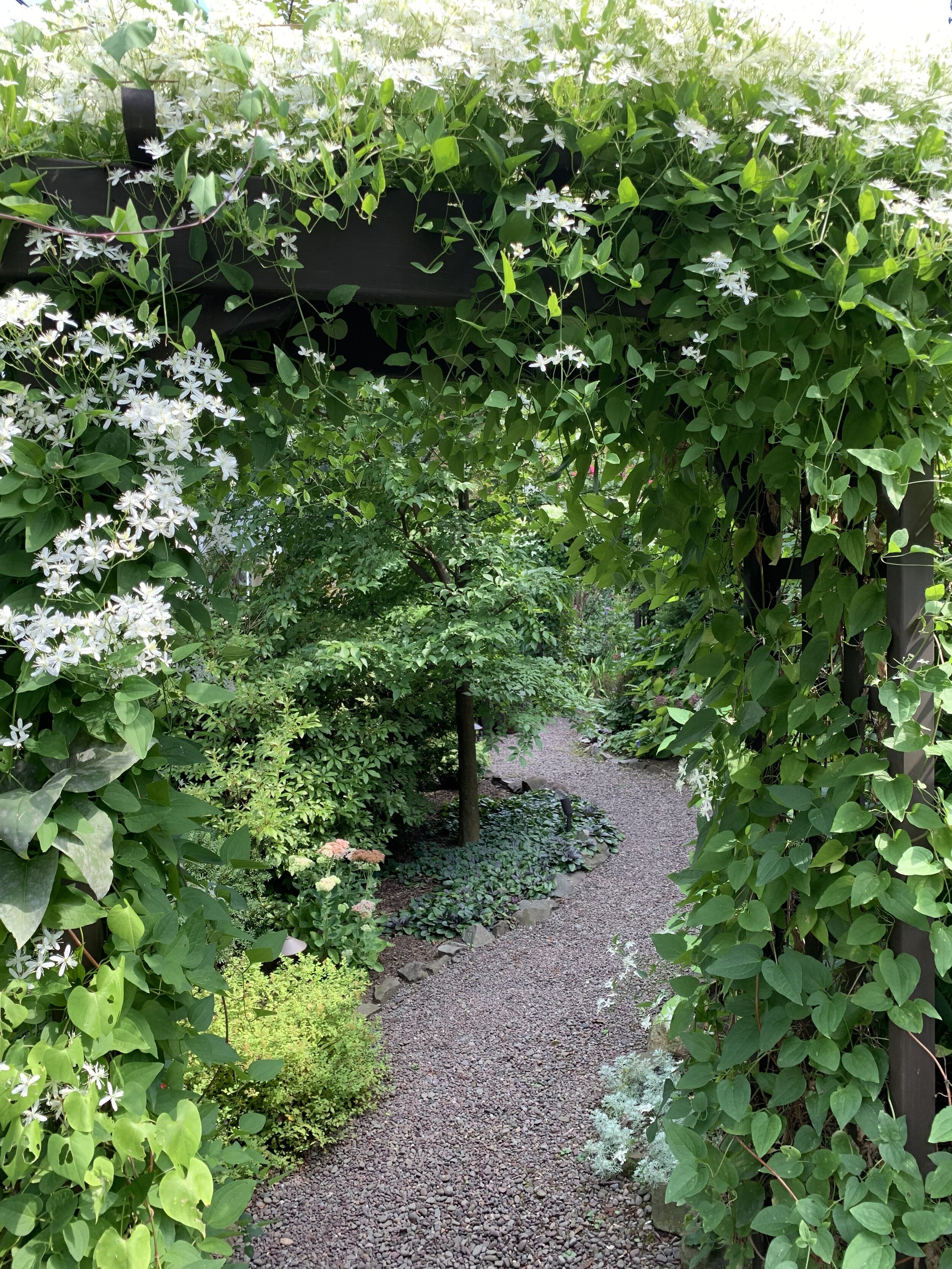Garden Pathway