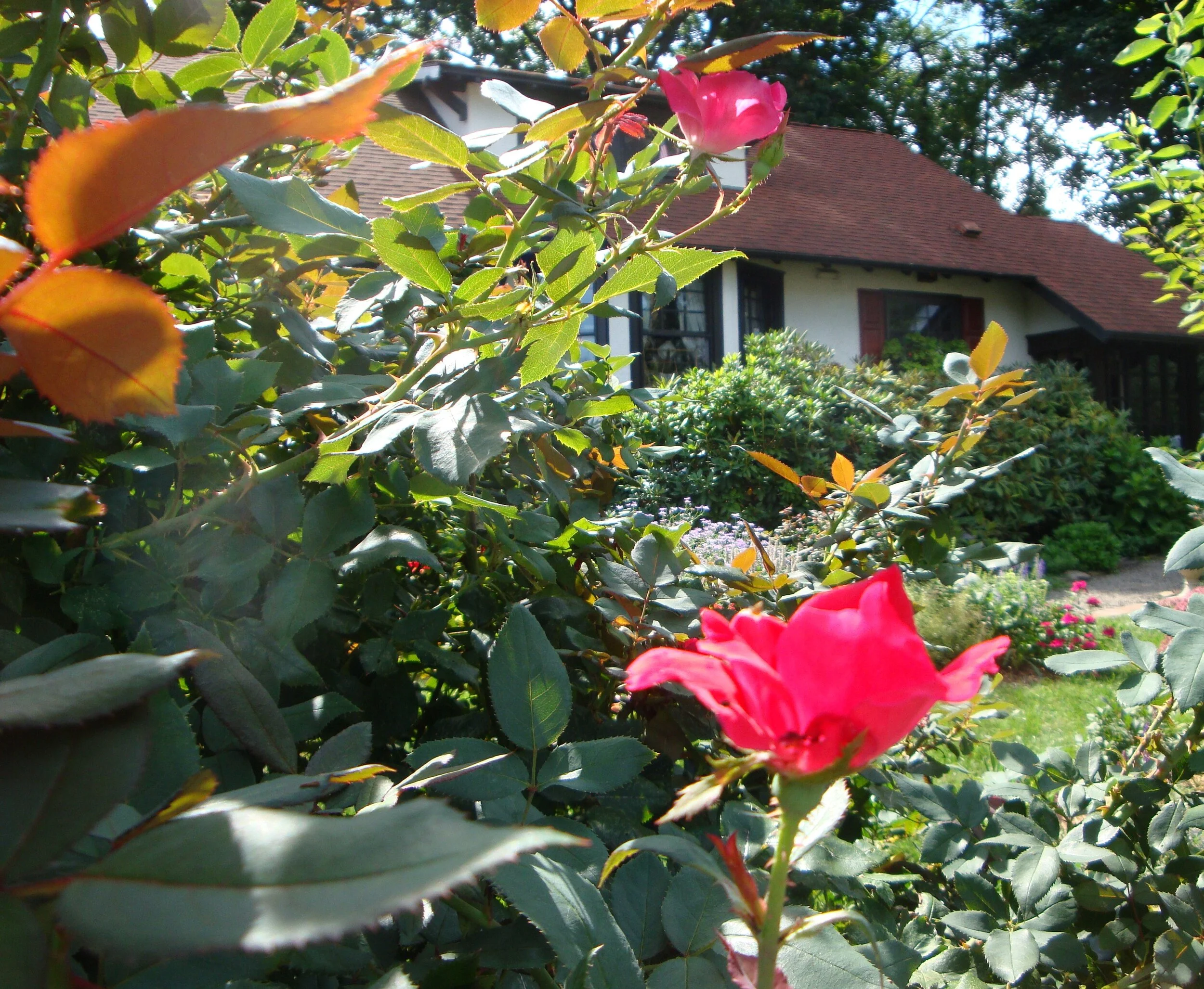 Elm Cottage, Nutley, New Jersey