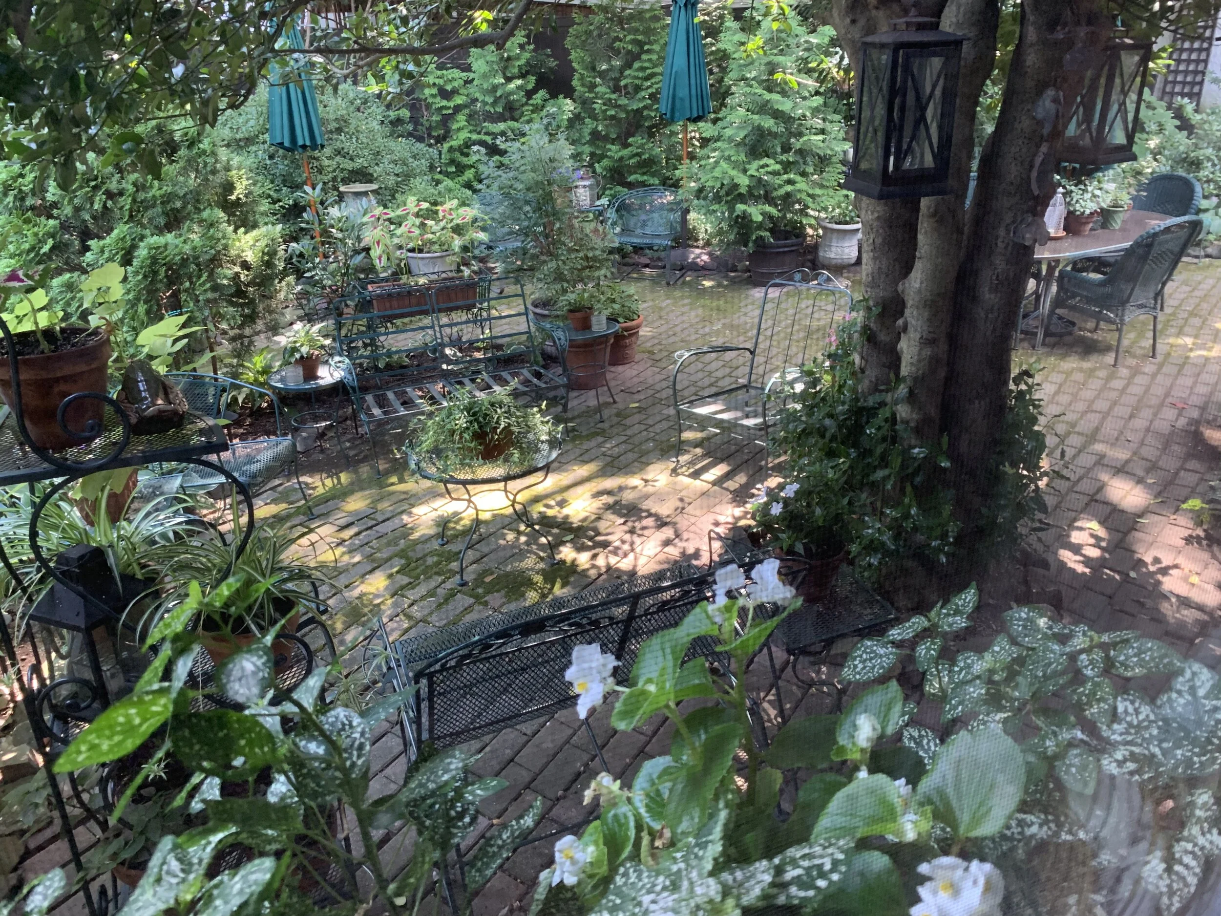 The Patio, Elm Cottage