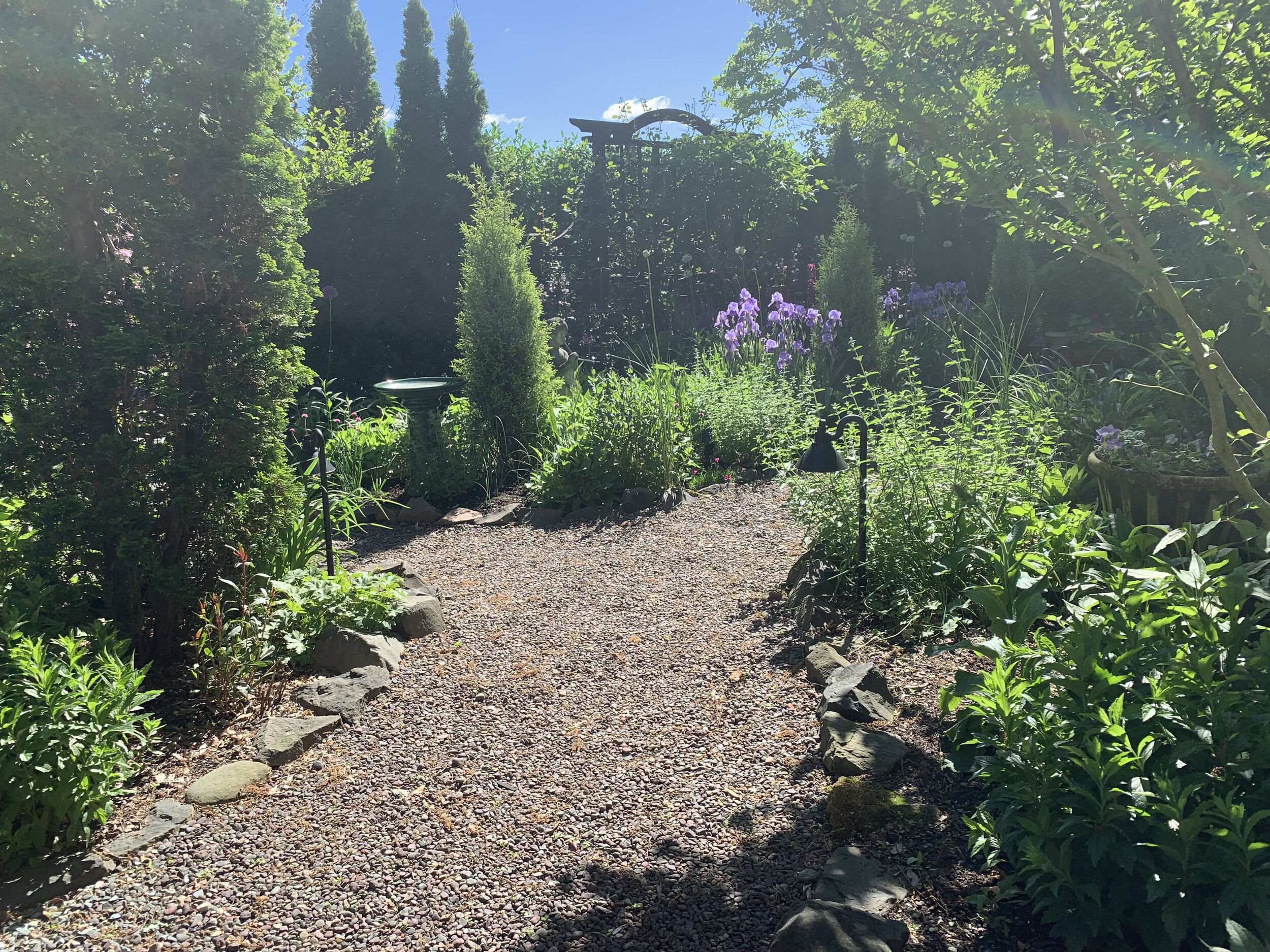 Springtime in The Garden