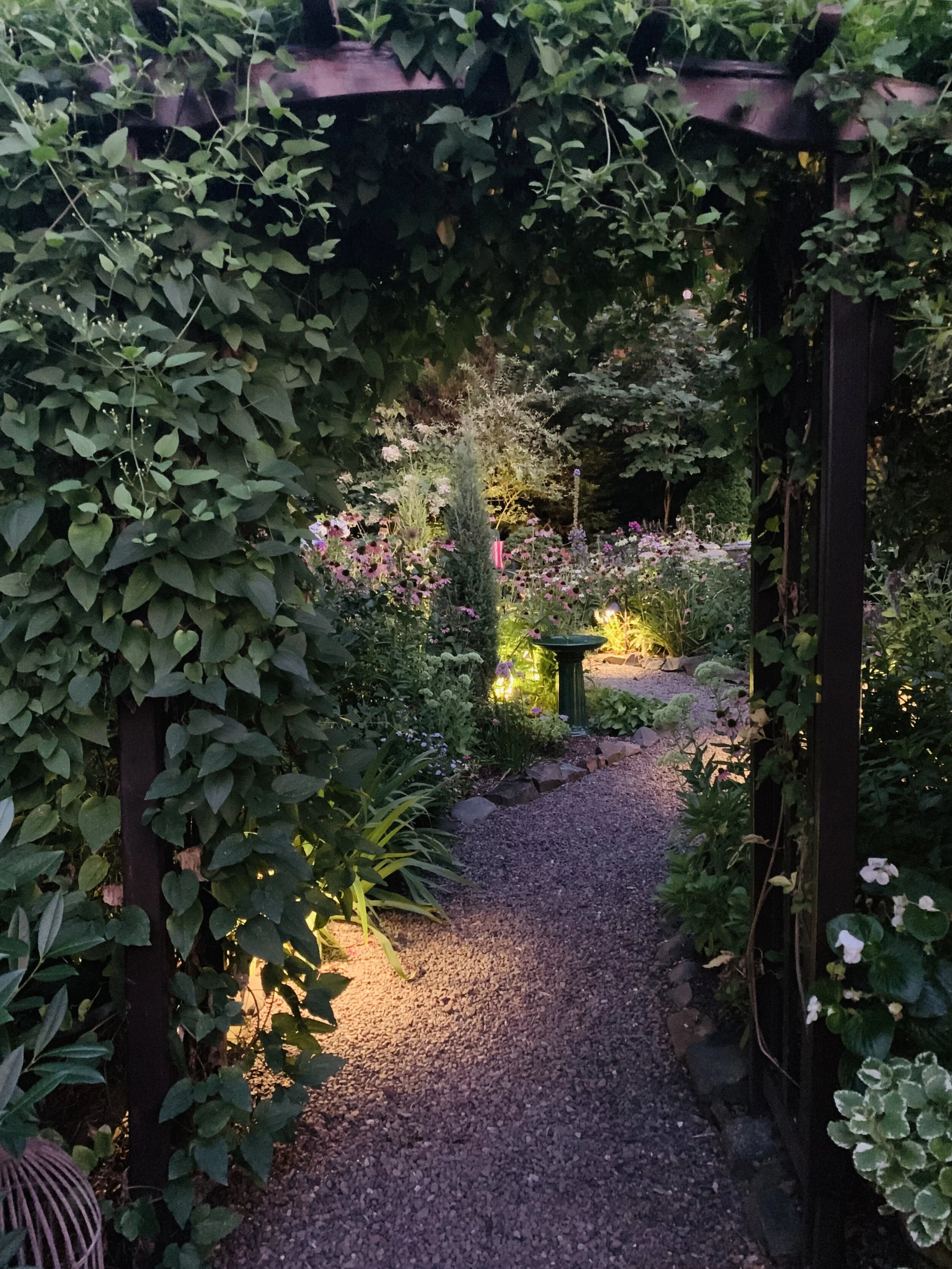 The Garden at Dusk