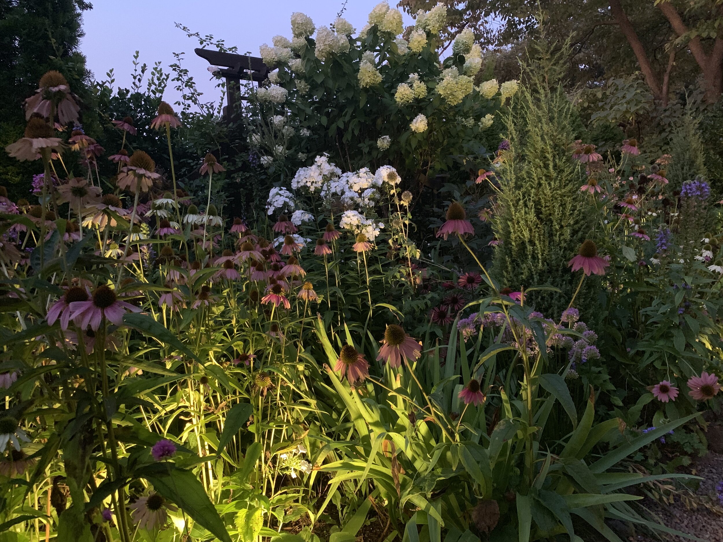 The Trellis Garden at Dusk