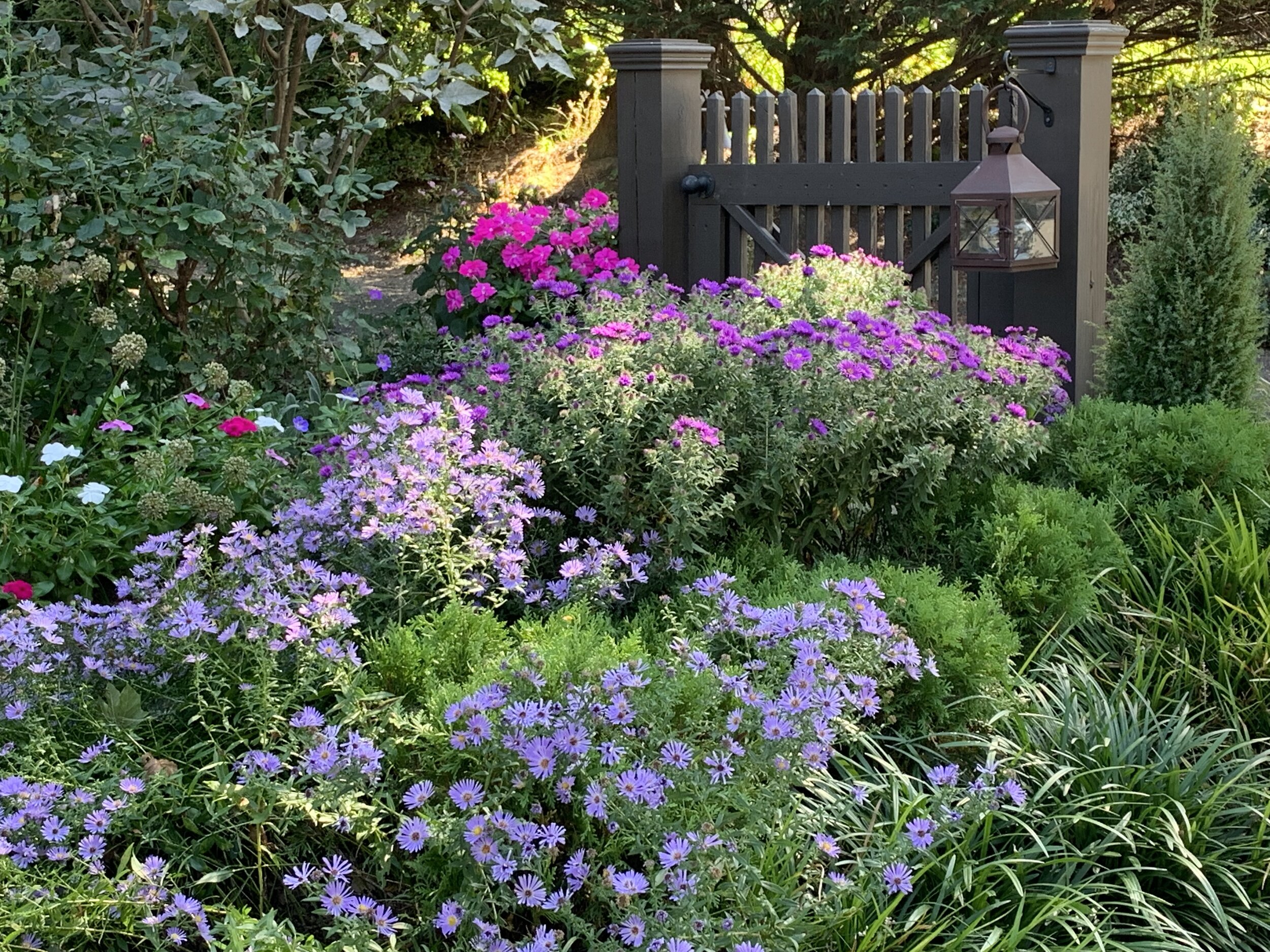 Garden Gate in September