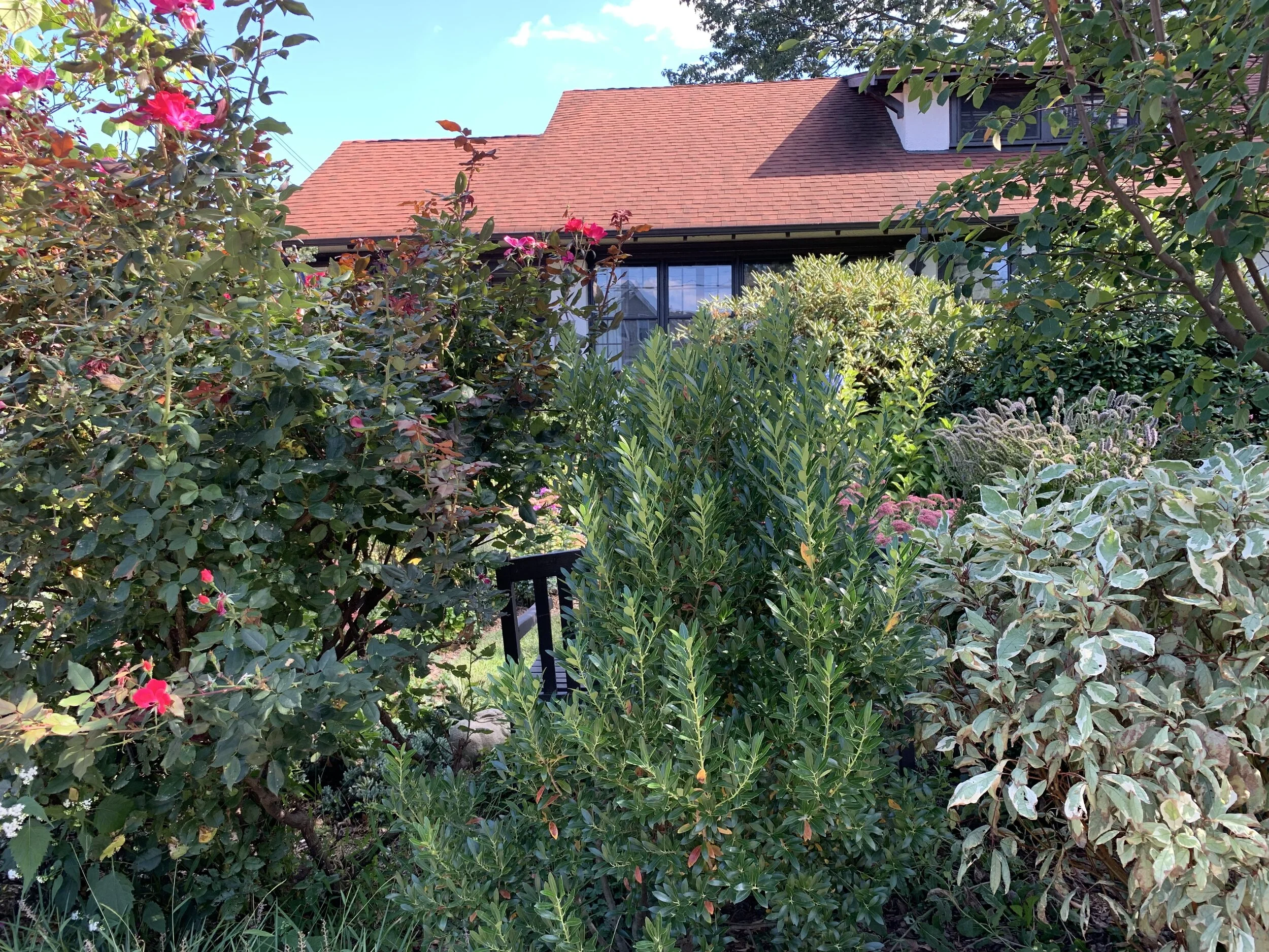 Elm Cottage, Summer 2019