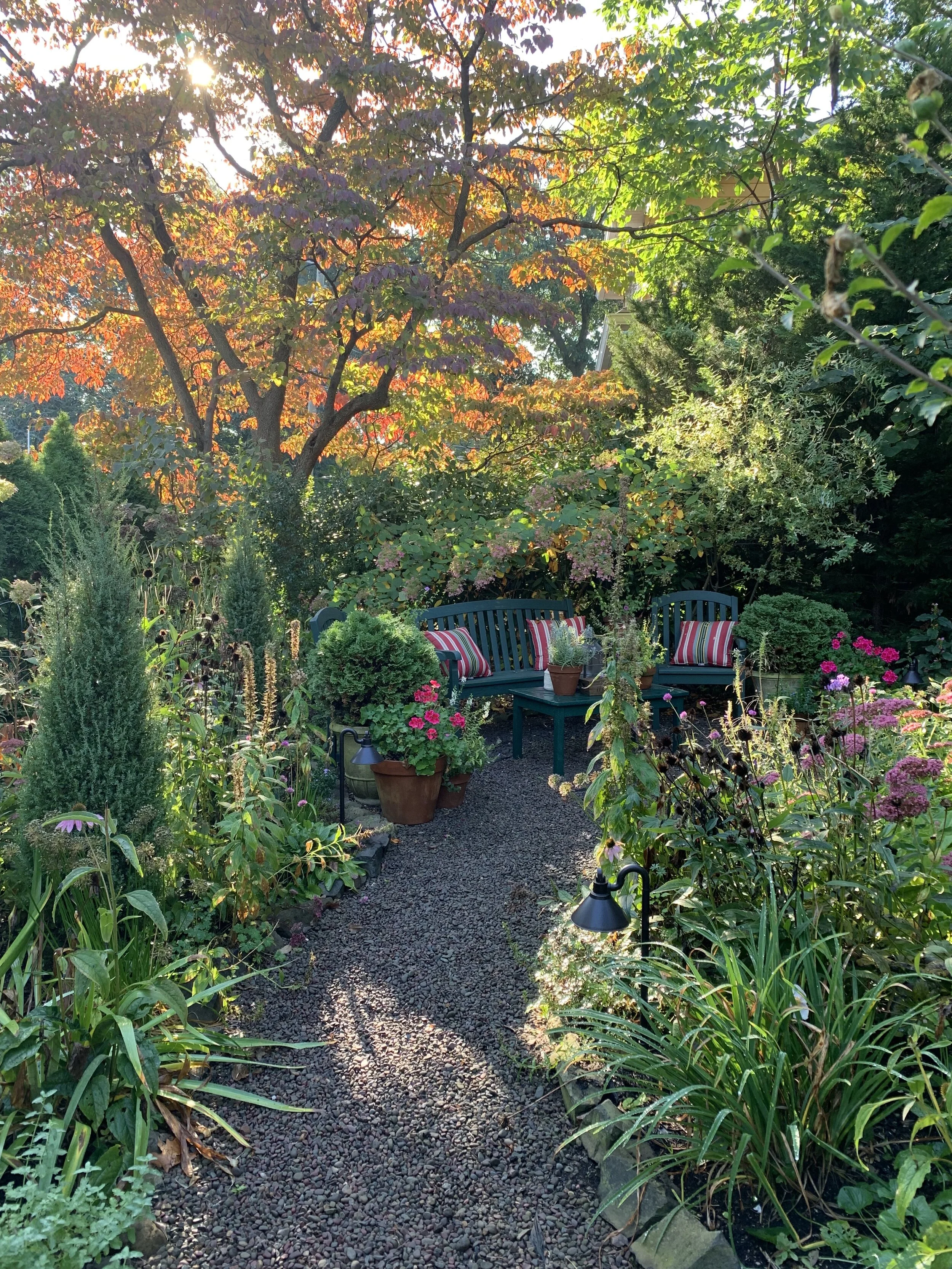 Down The Garden Path