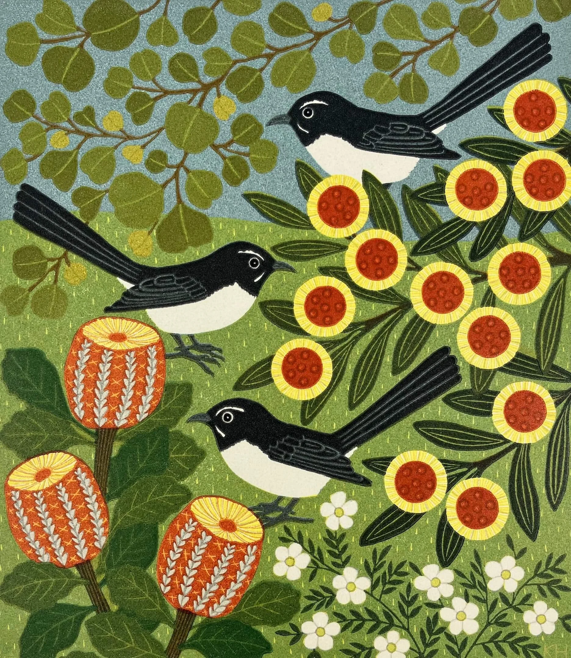 Willy Wagtails in the garden copy.jpeg