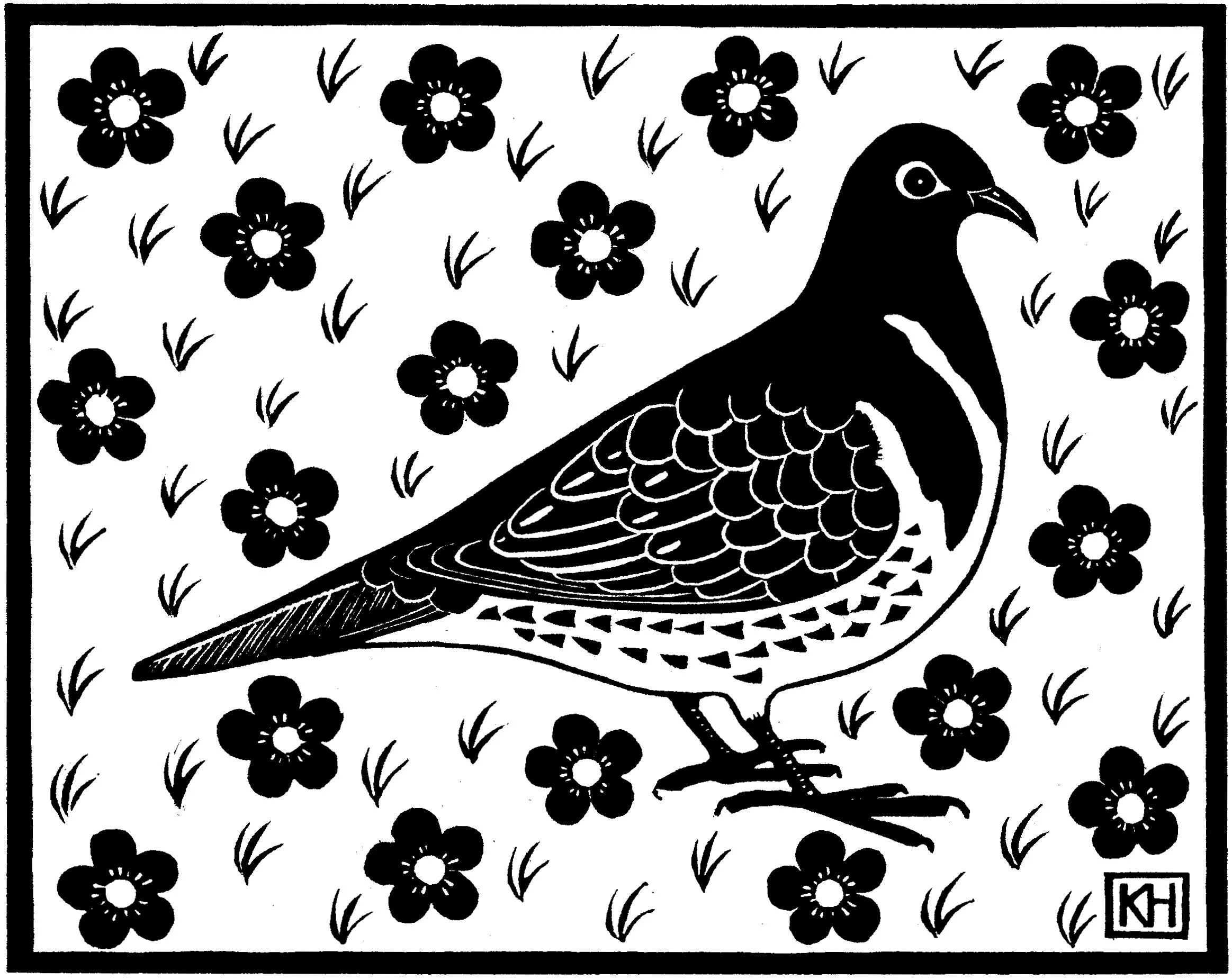 Wonga Pigeon