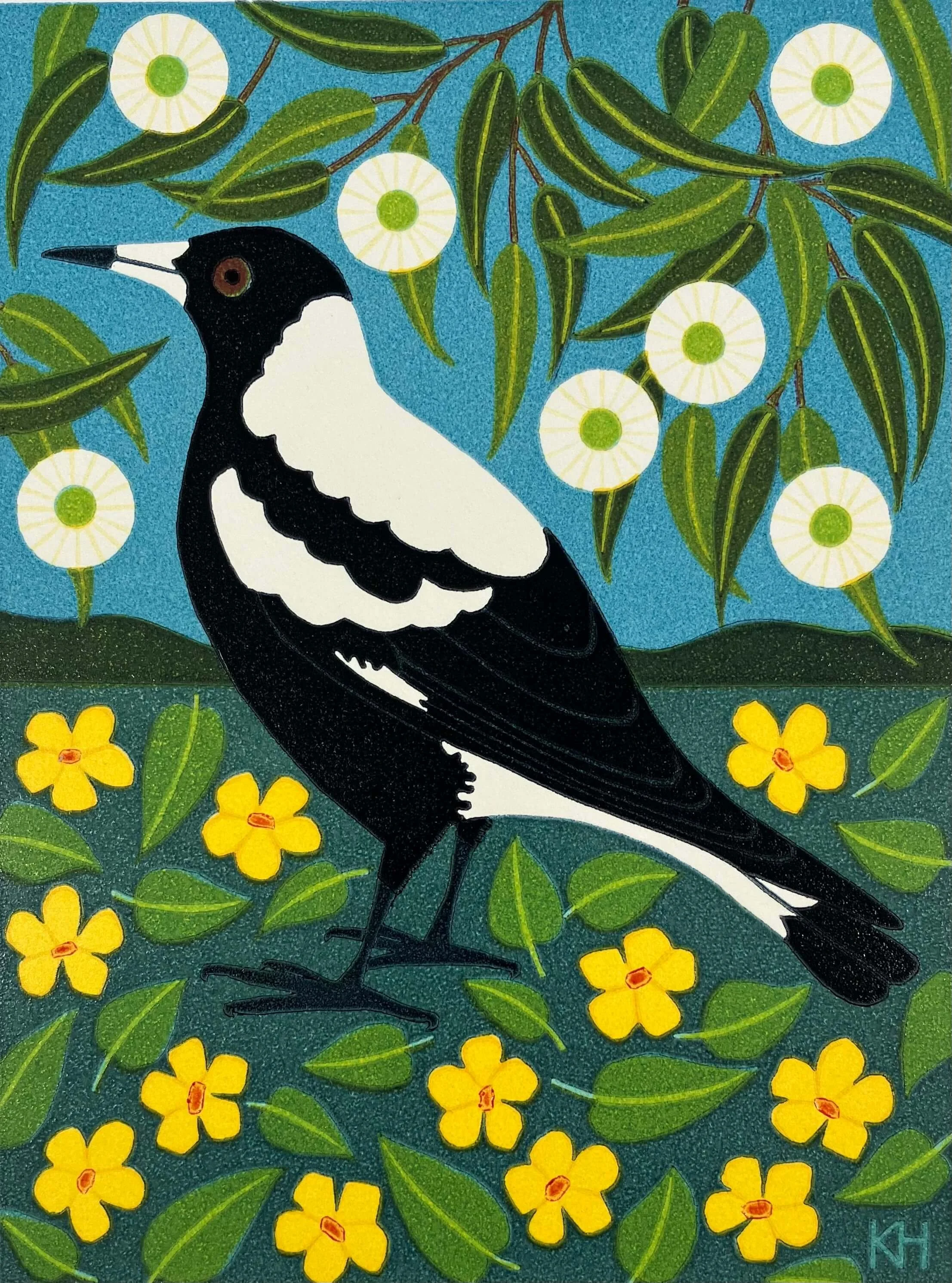 Magpie, Goodenia and Gum