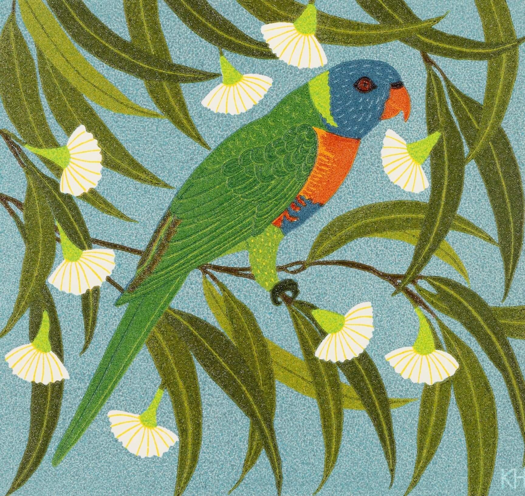 Rainbow Lorikeet