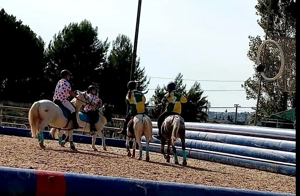 IMG_2016.JPG
