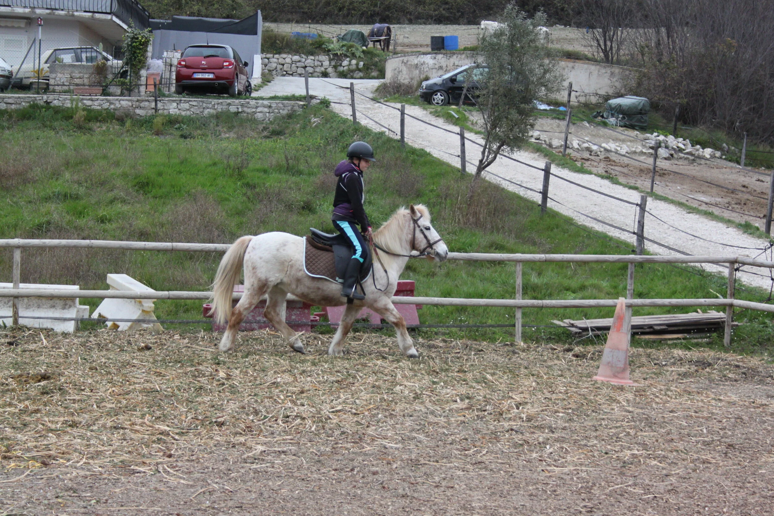 IMG_7535.JPG