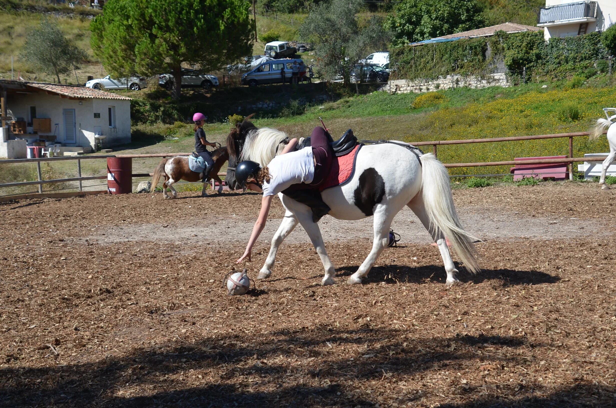 DSC_6386.JPG