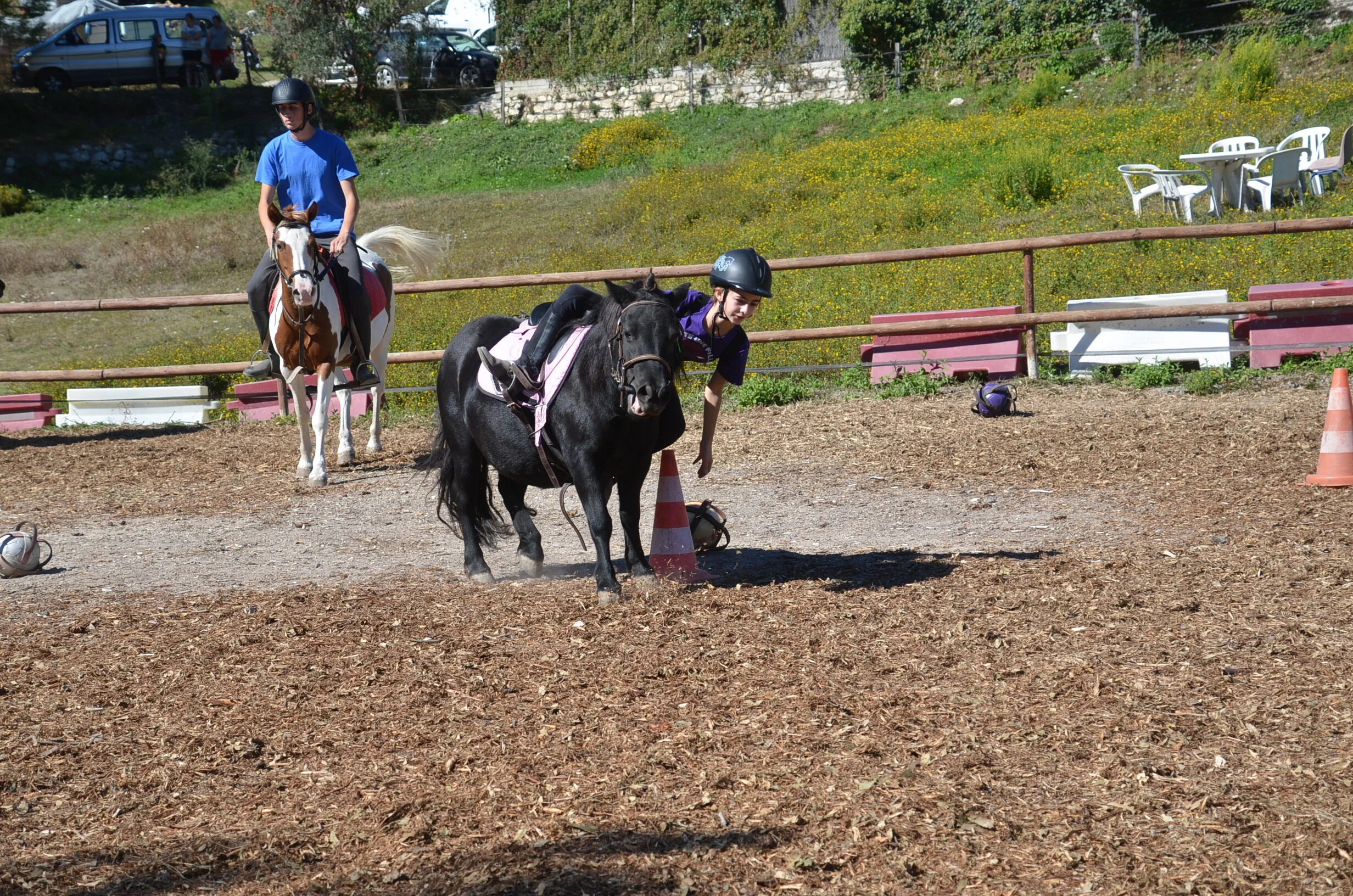 DSC_6393.JPG