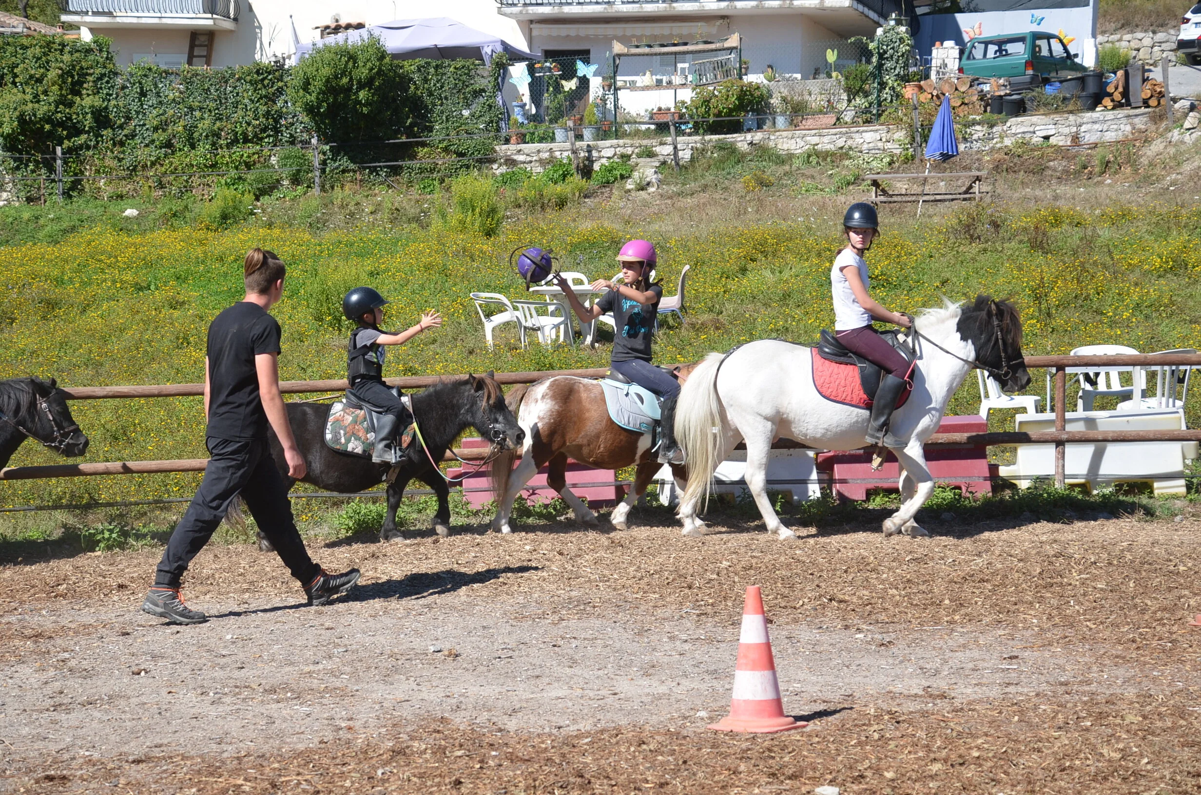 DSC_6426.JPG