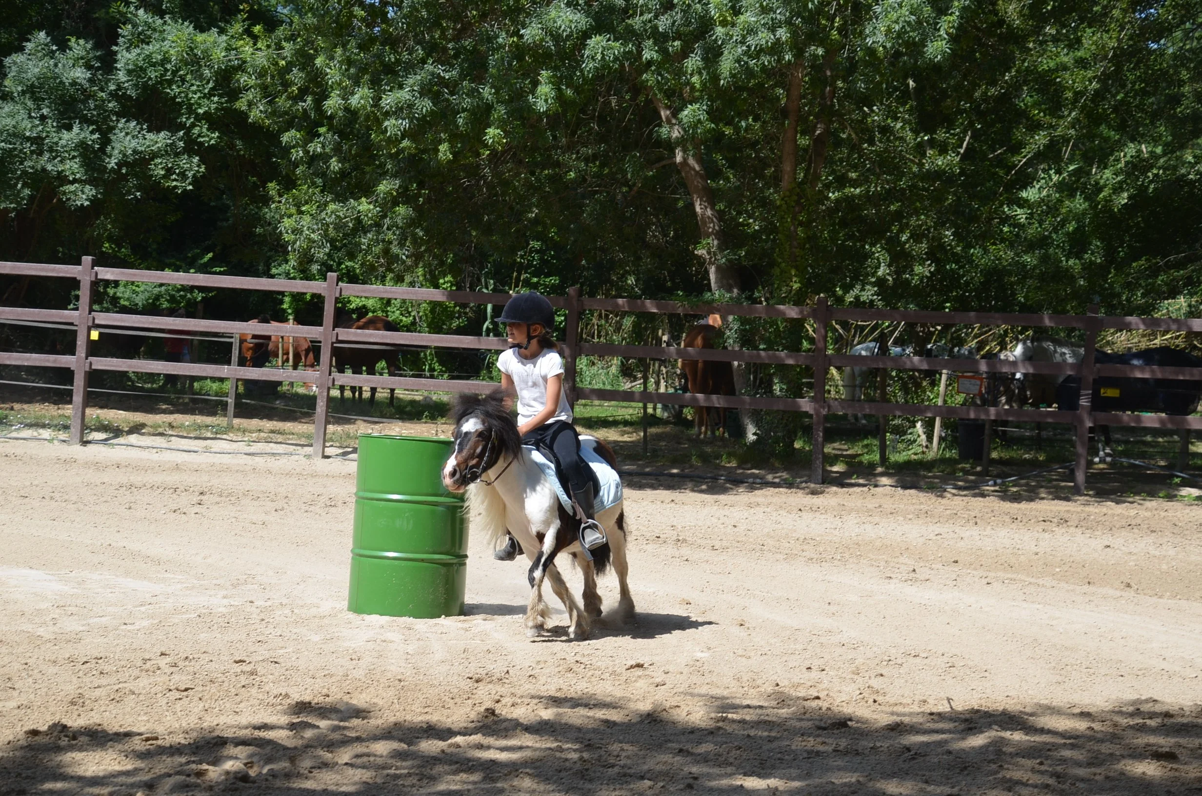 DSC_6938.JPG