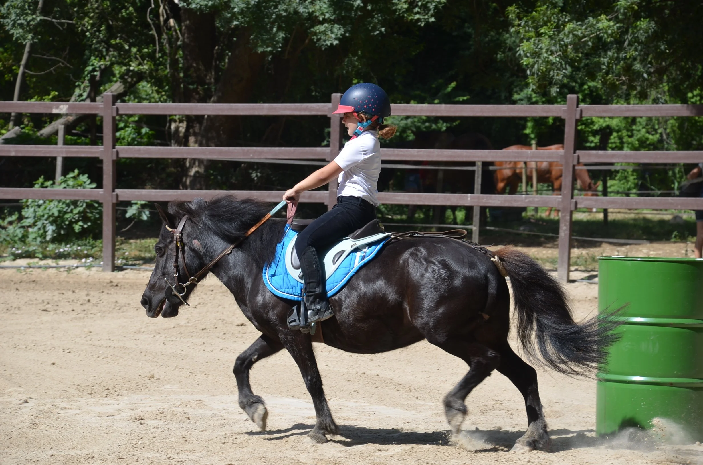 DSC_6964.JPG