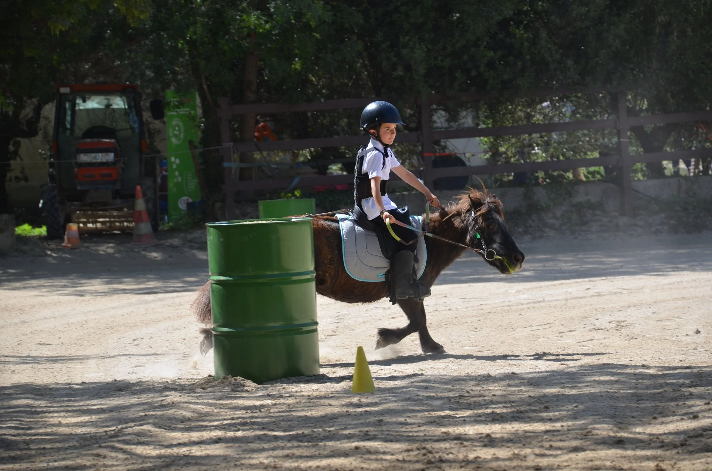 DSC_6985.JPG