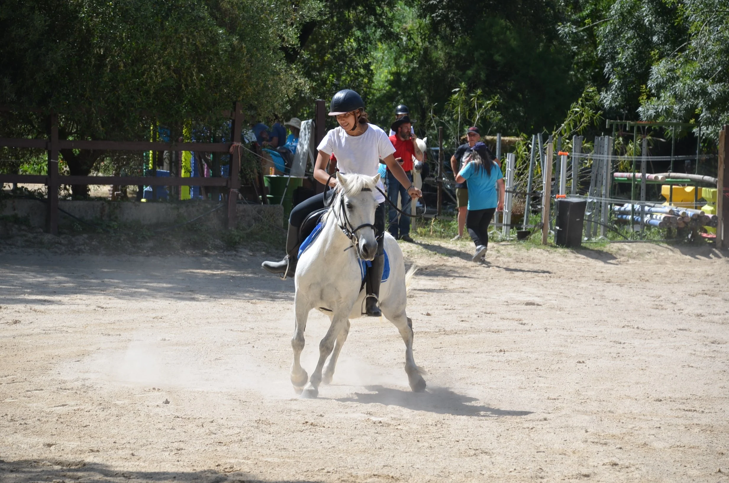 DSC_7097.JPG