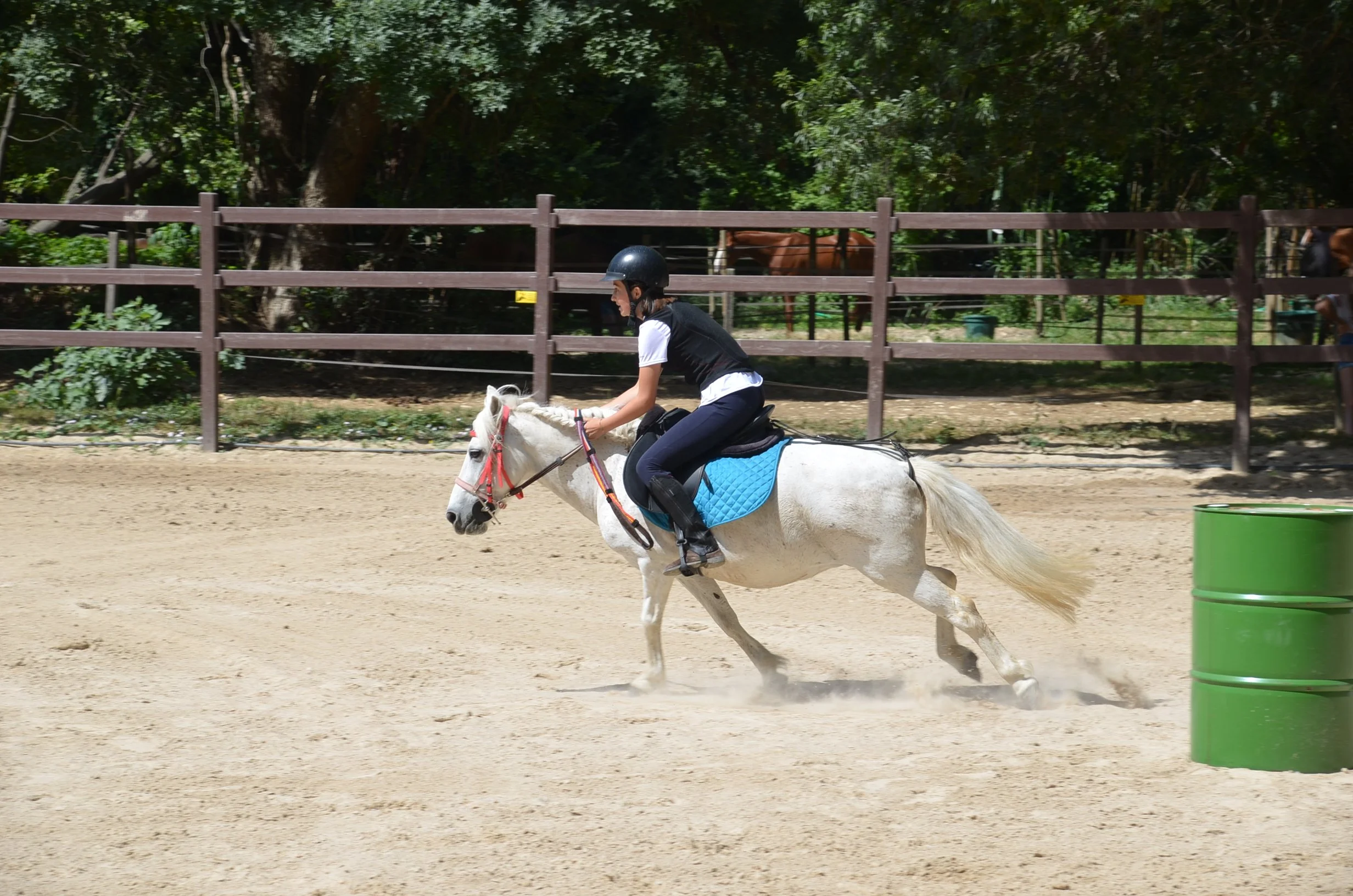 DSC_7127.JPG