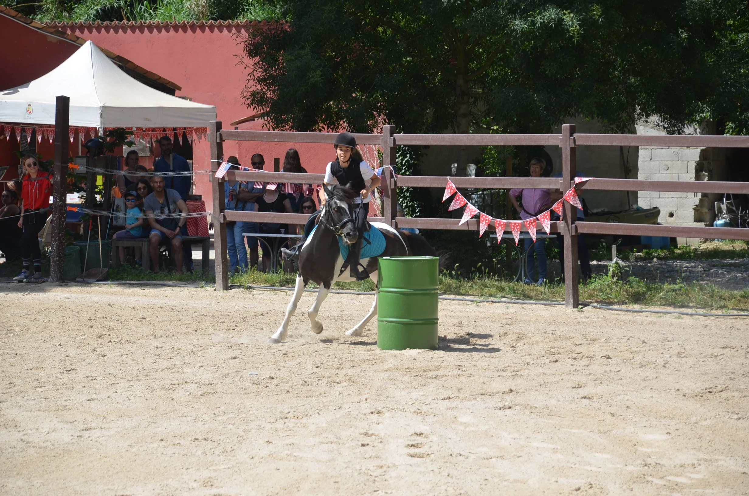 DSC_7139.JPG