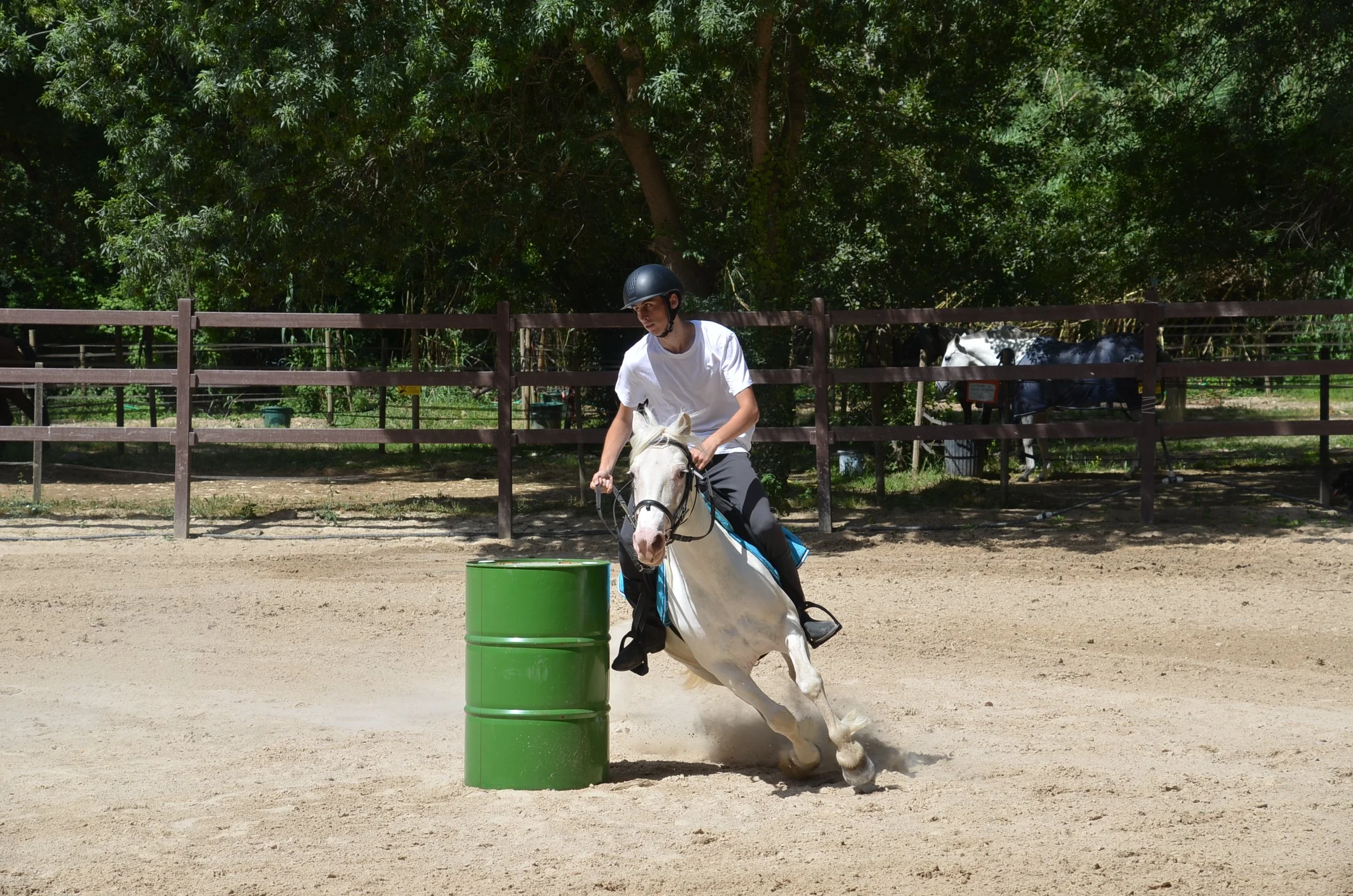 DSC_7167.JPG