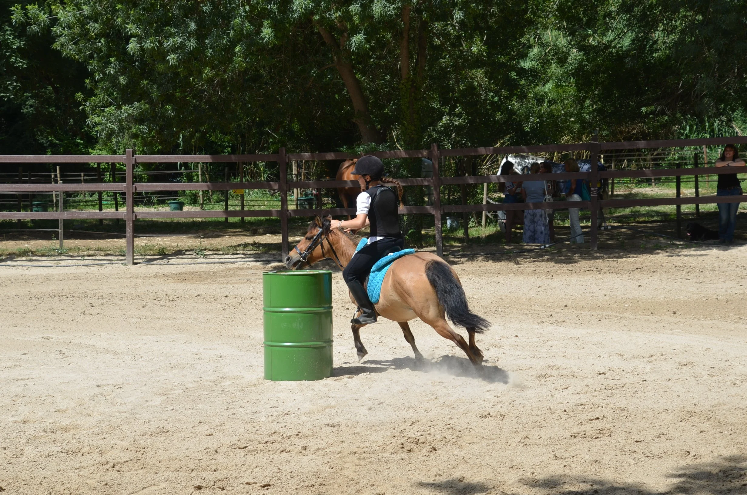 DSC_7219.JPG