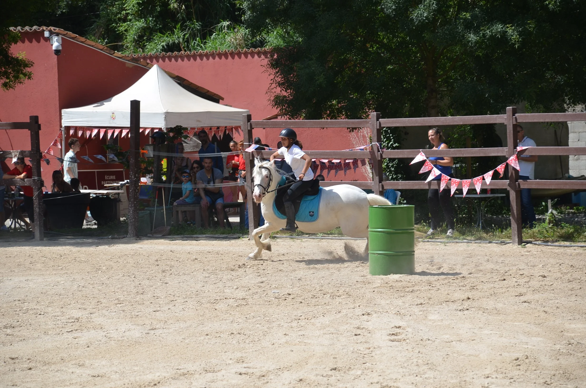 DSC_7229.JPG