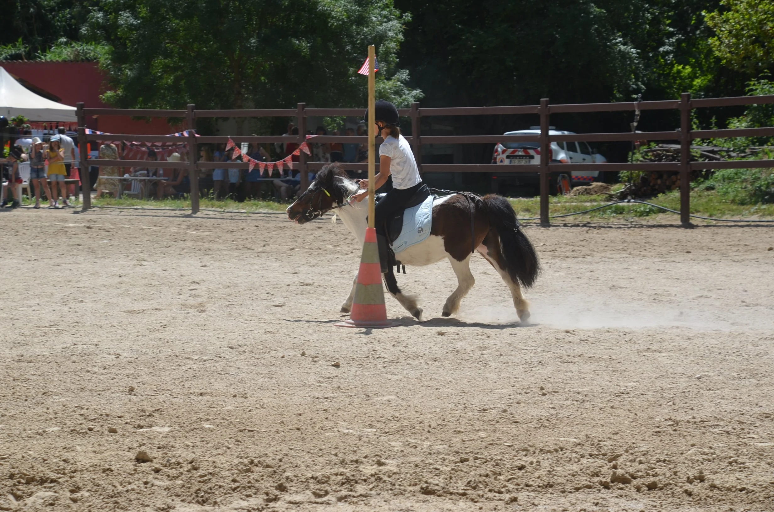 DSC_7297.JPG