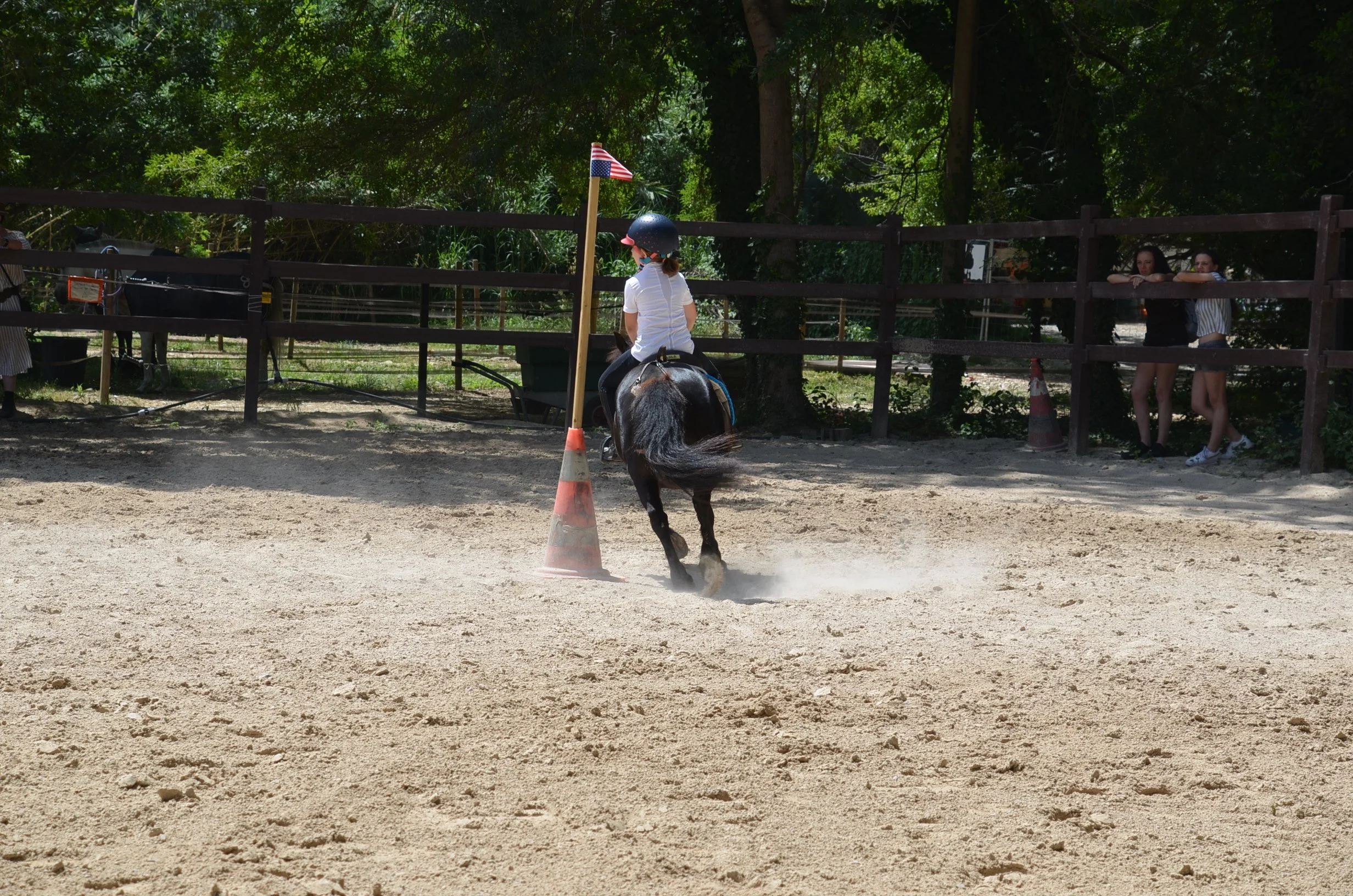 DSC_7320.JPG