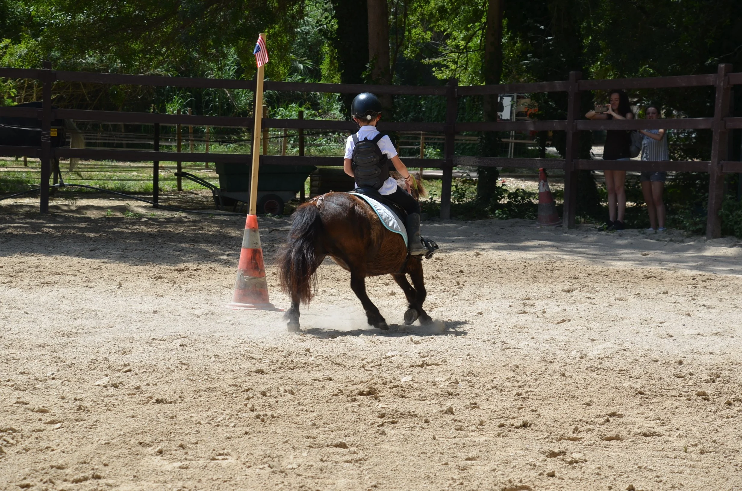 DSC_7334.JPG