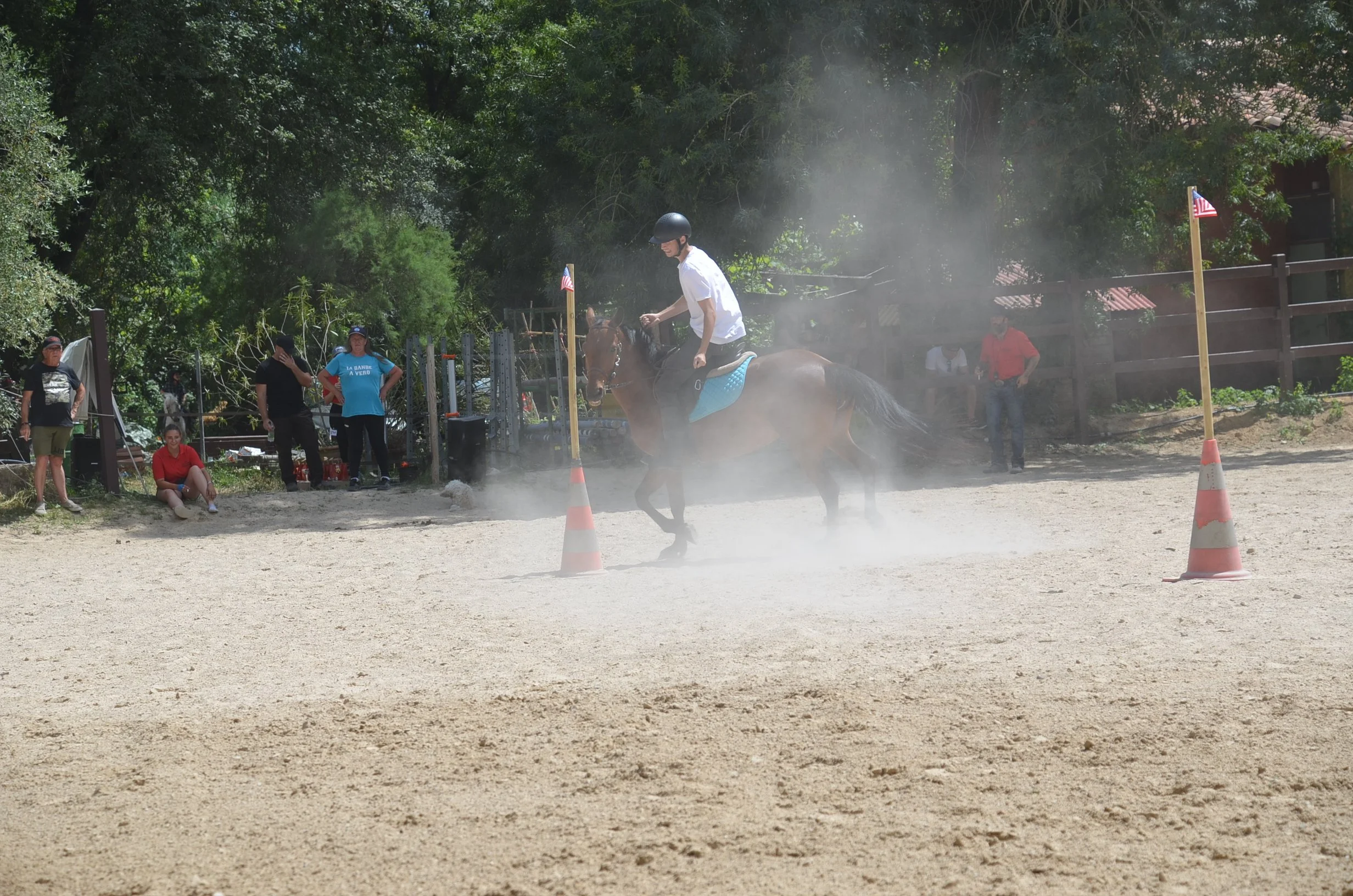 DSC_7504.JPG