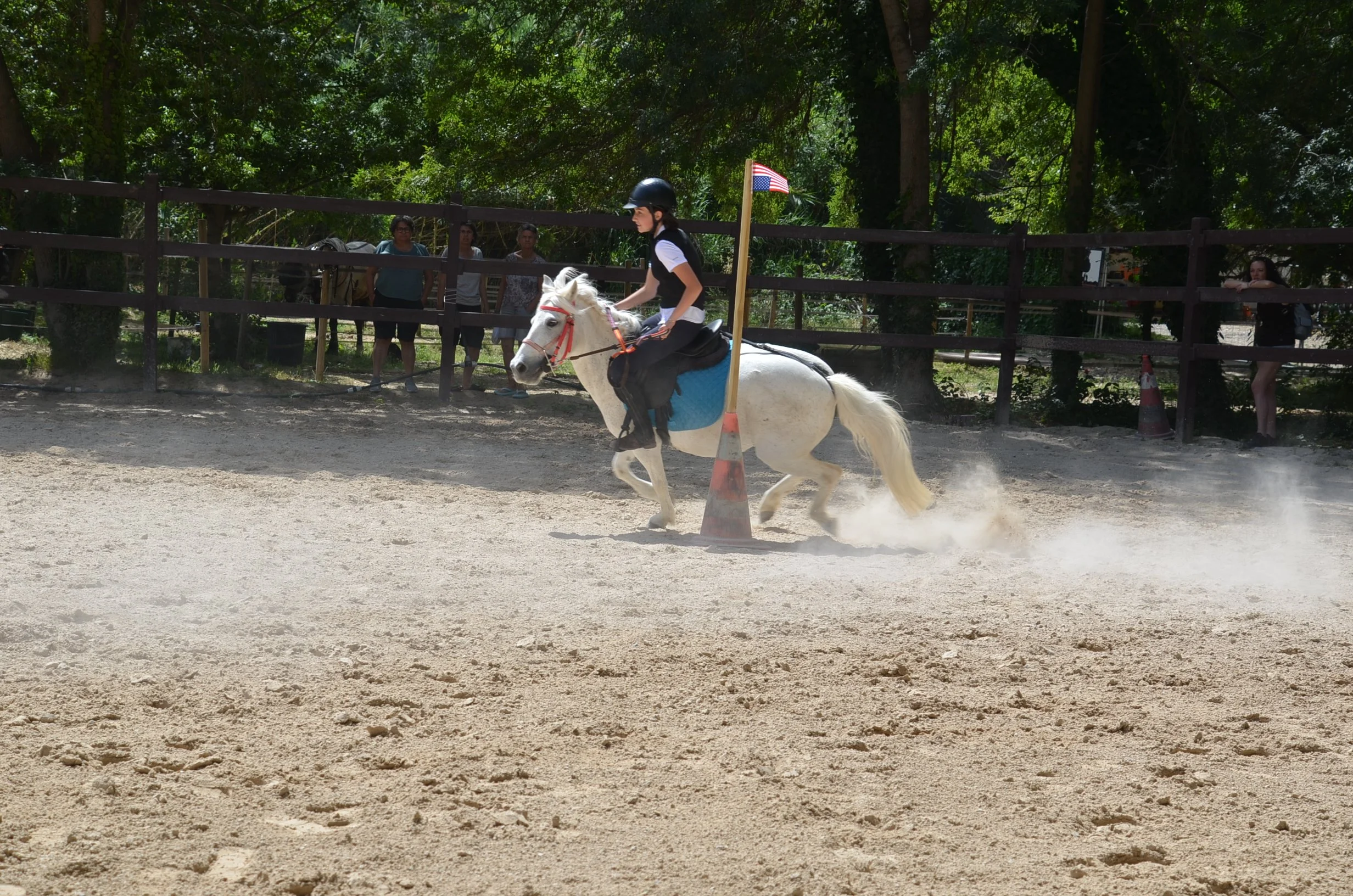 DSC_7532.JPG