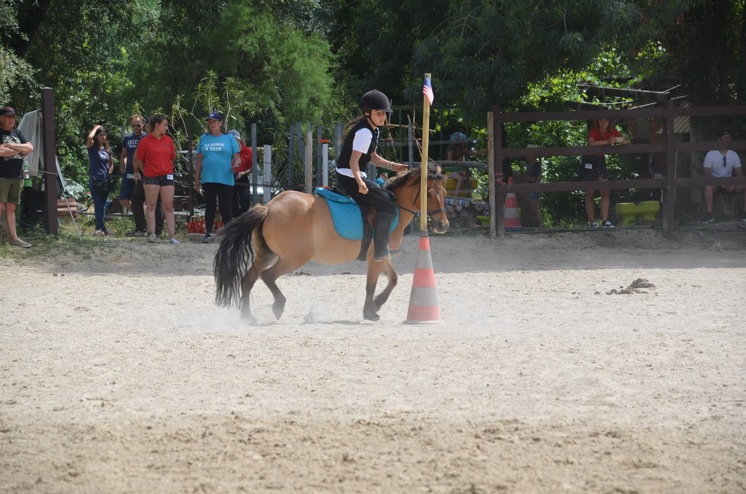 DSC_7569.JPG