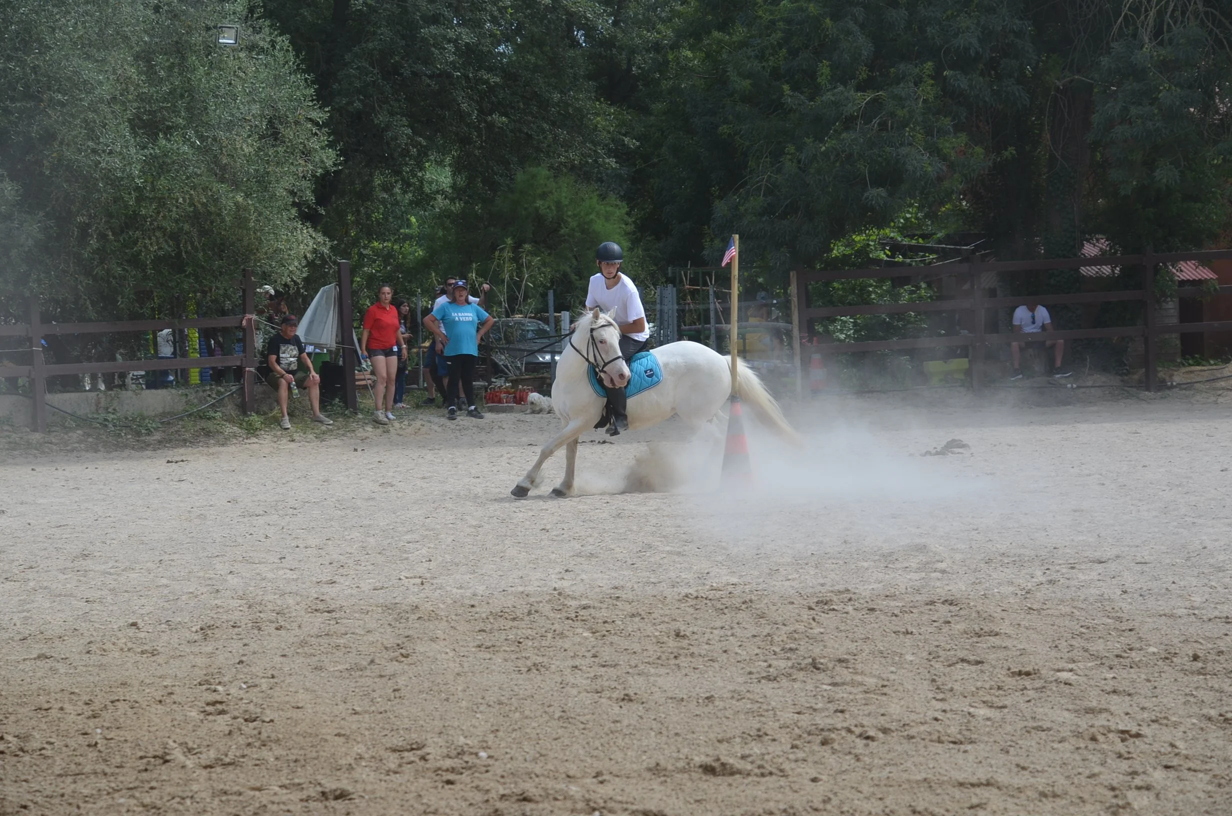 DSC_7601.JPG