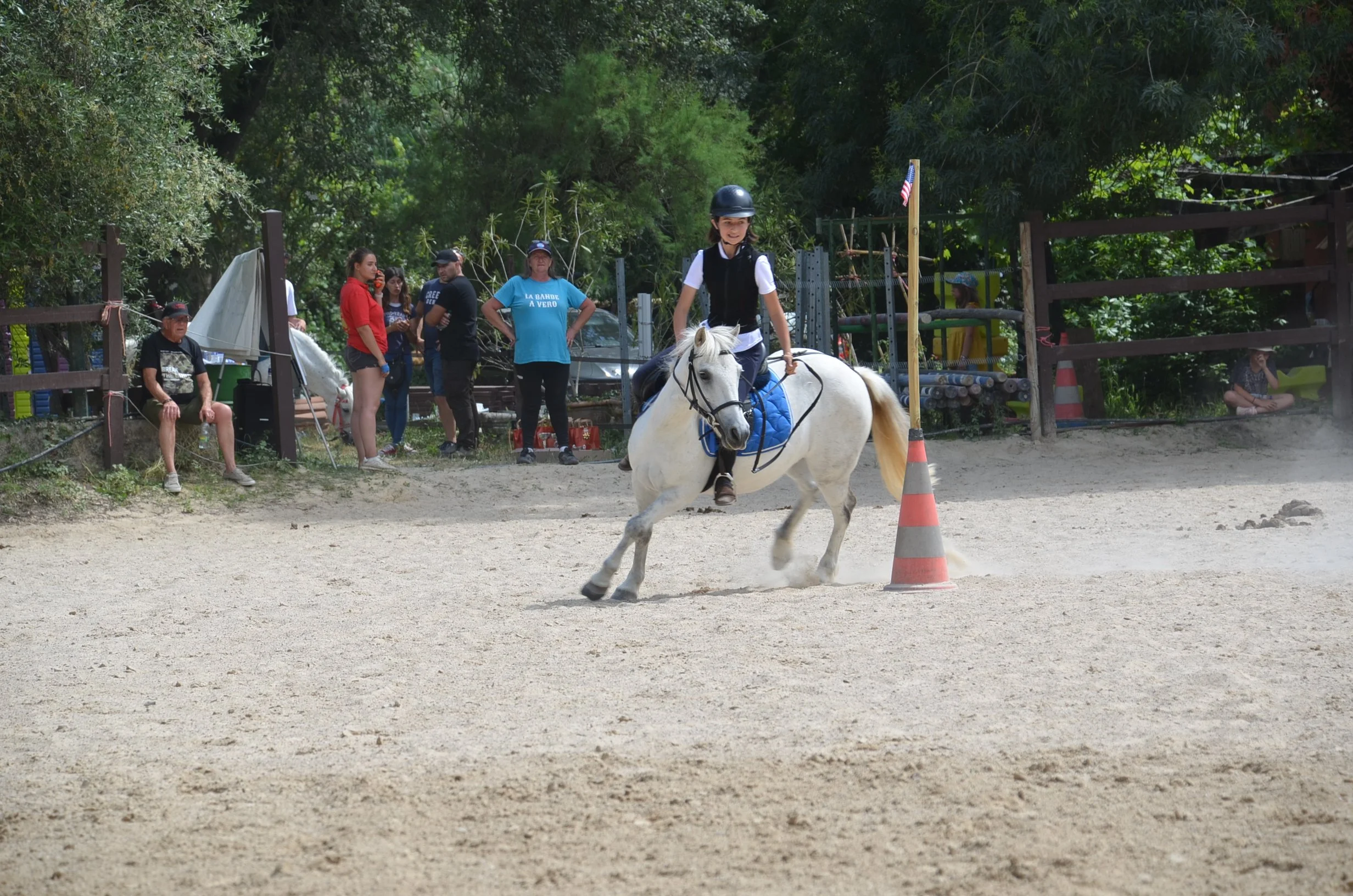 DSC_7628.JPG
