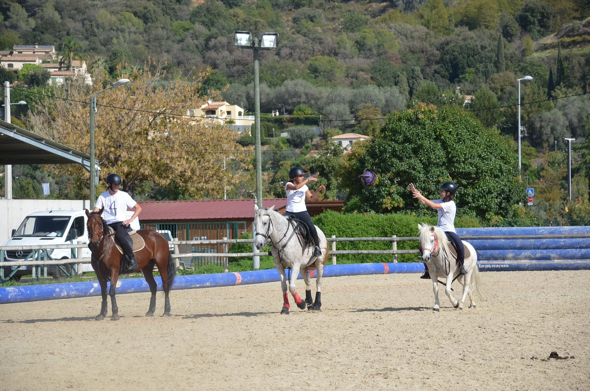 DSC_1213.JPG