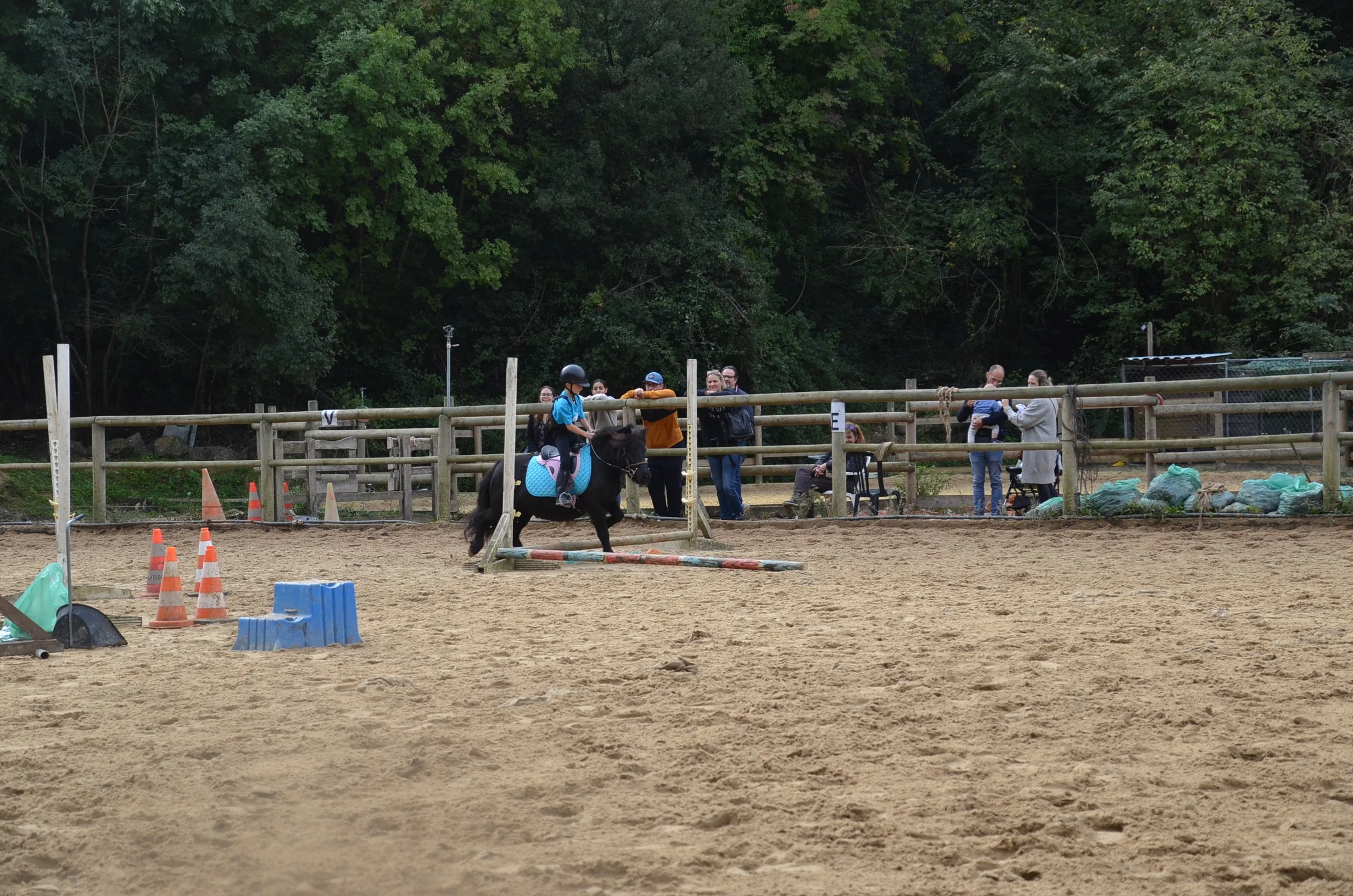 DSC_1608.JPG