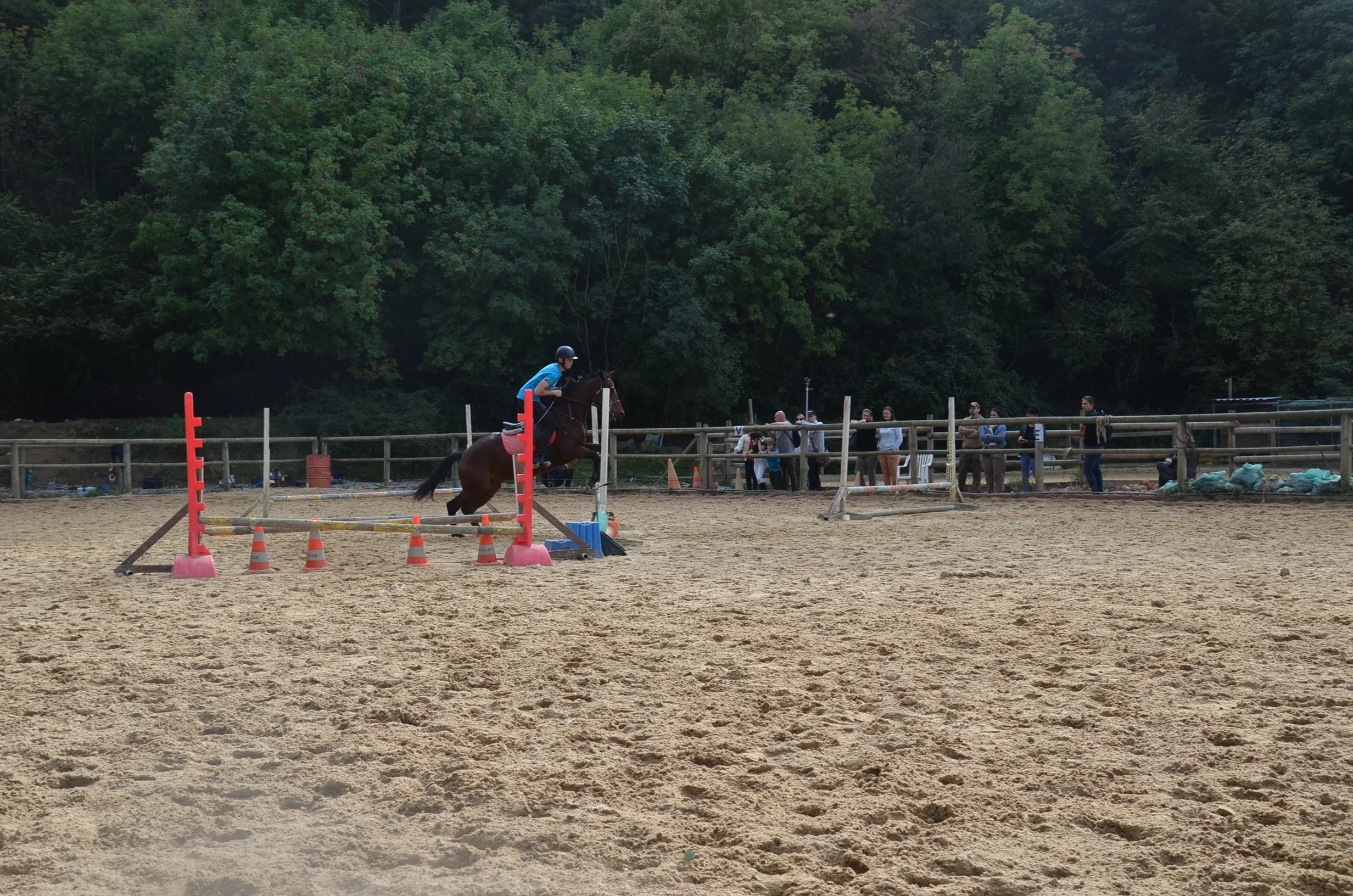 DSC_1749.JPG