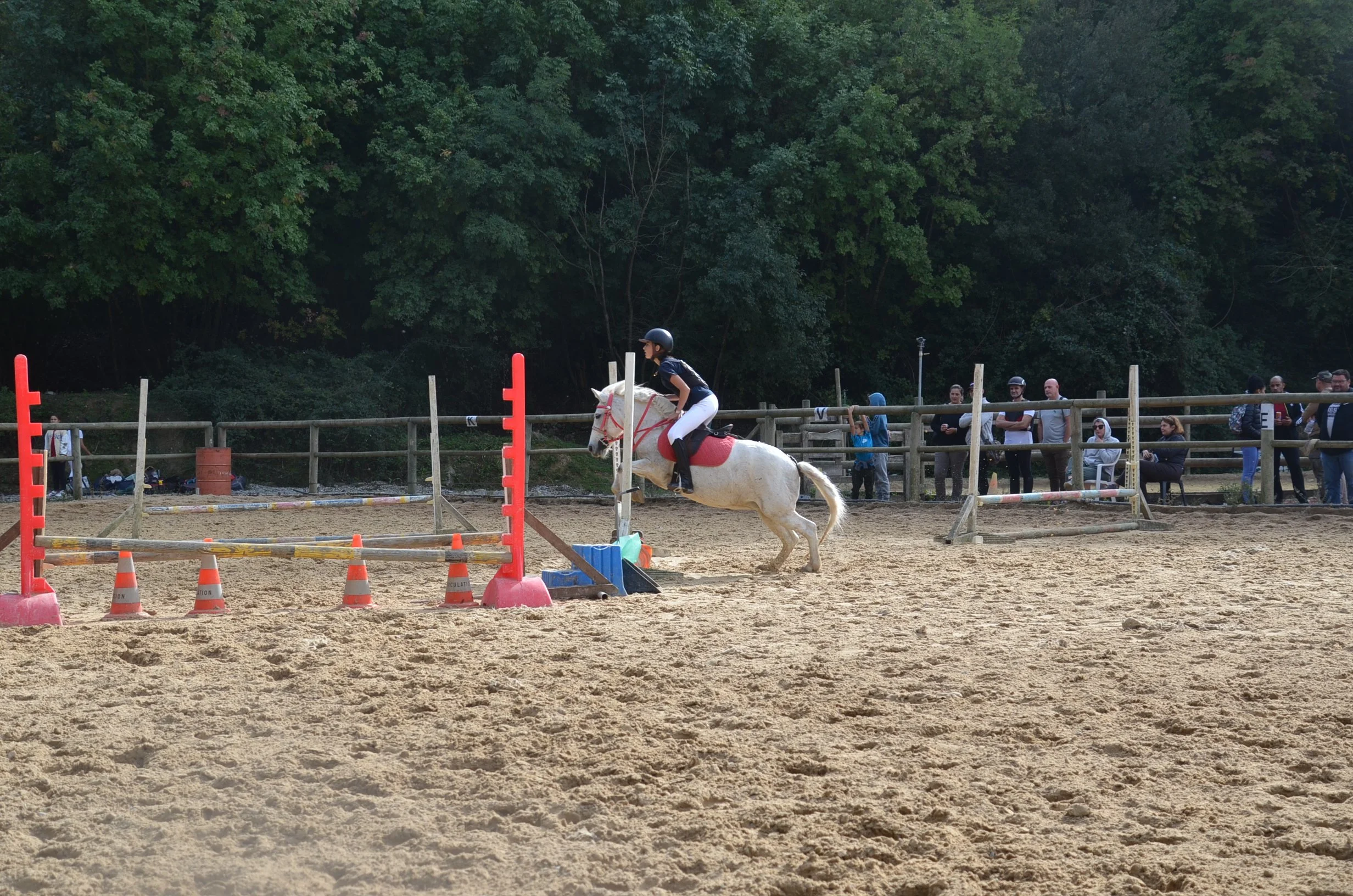 DSC_1977.JPG
