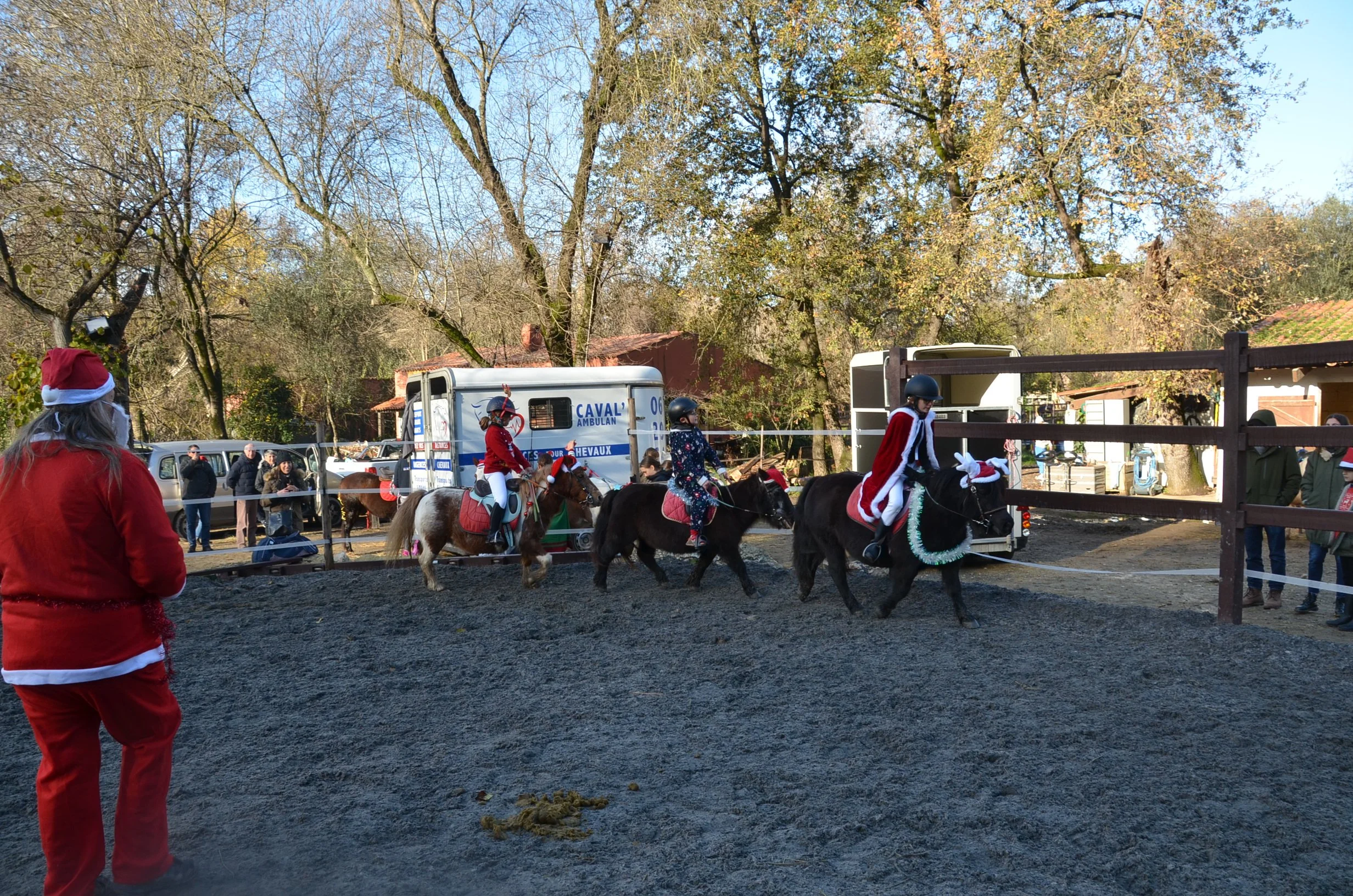 DSC_2315.JPG