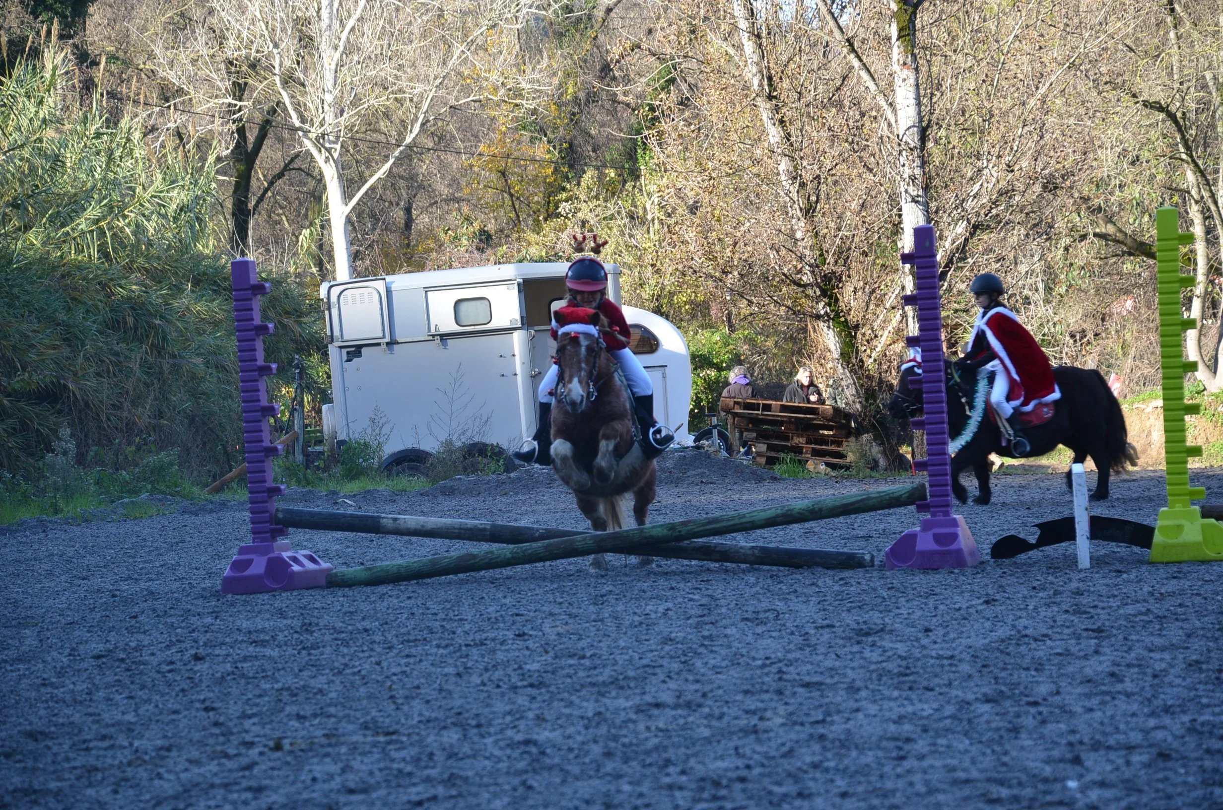 DSC_2317.JPG